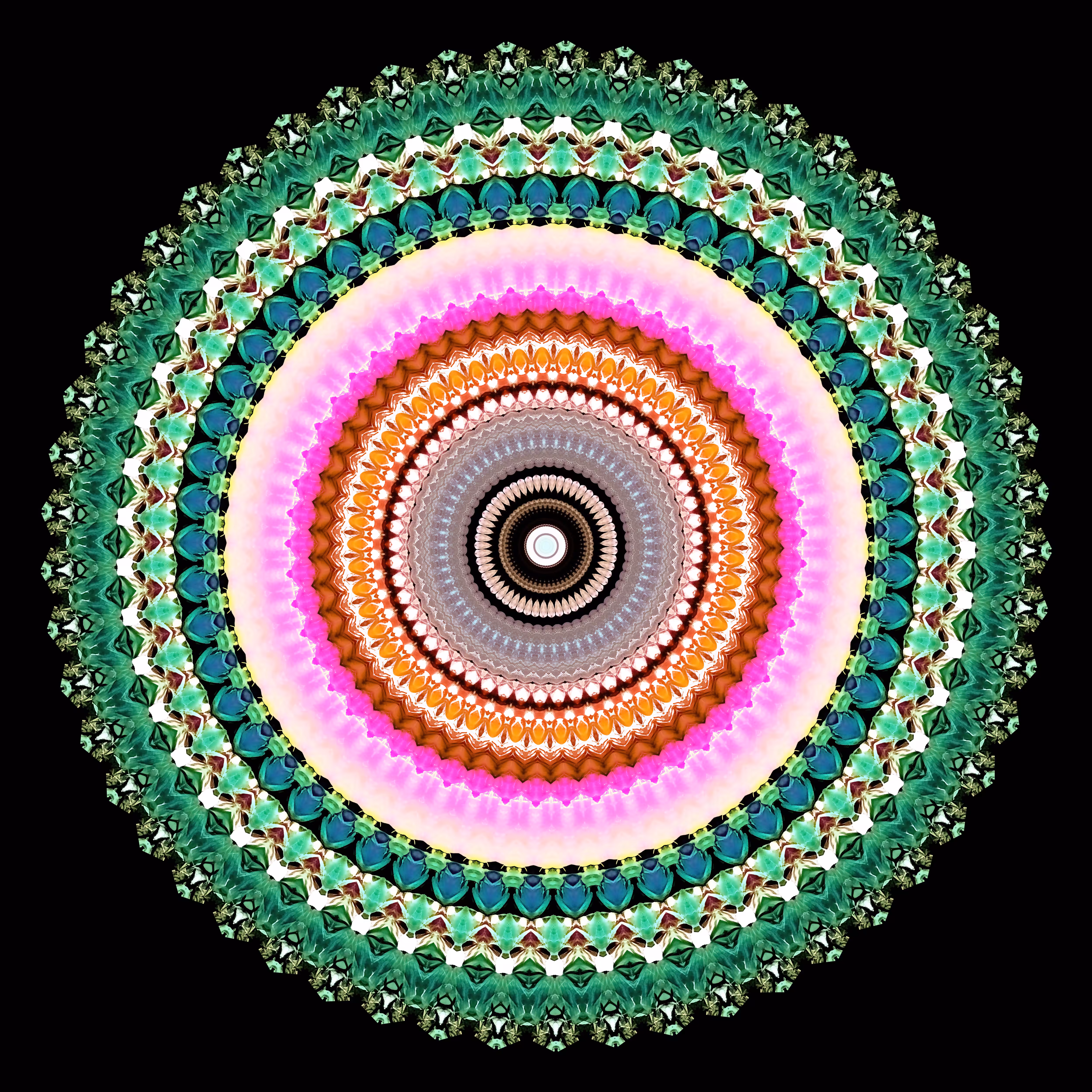 Form Constant 002