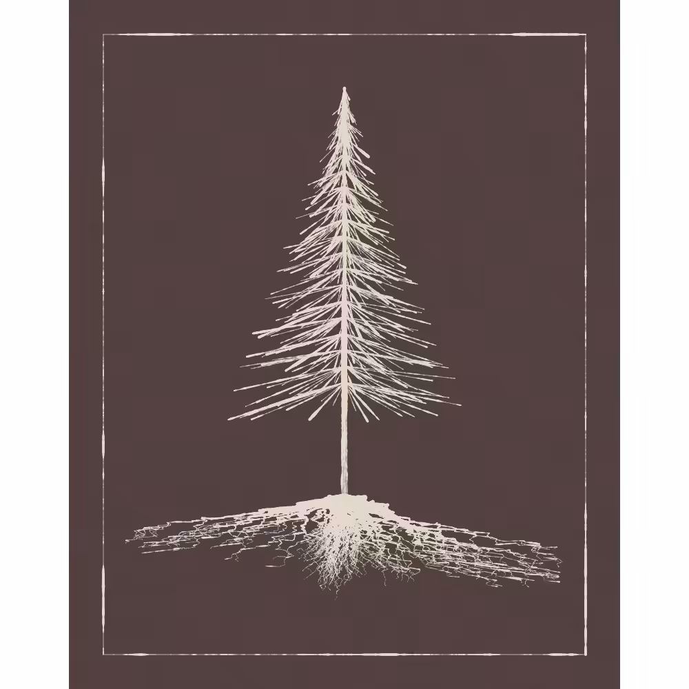 Roots #85