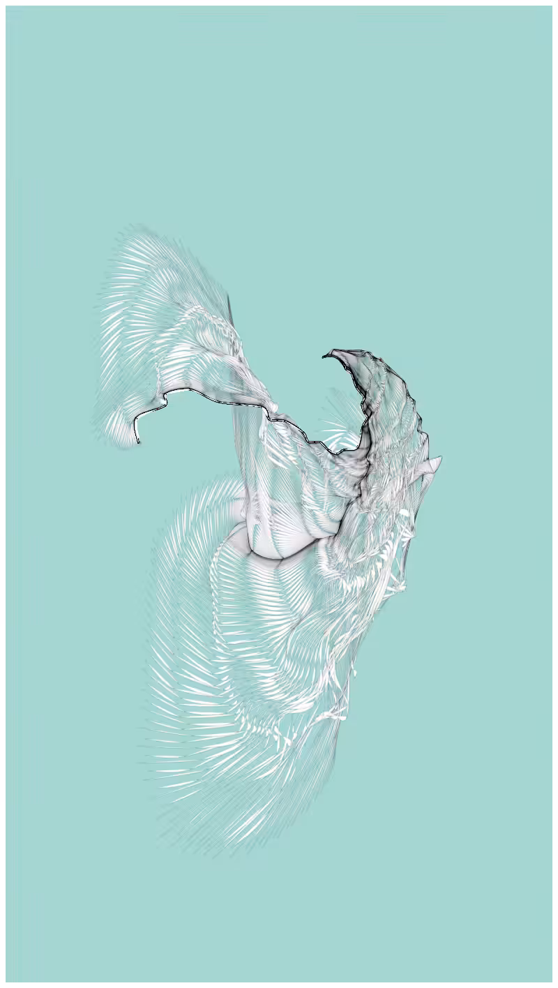 Imaginarium #25
