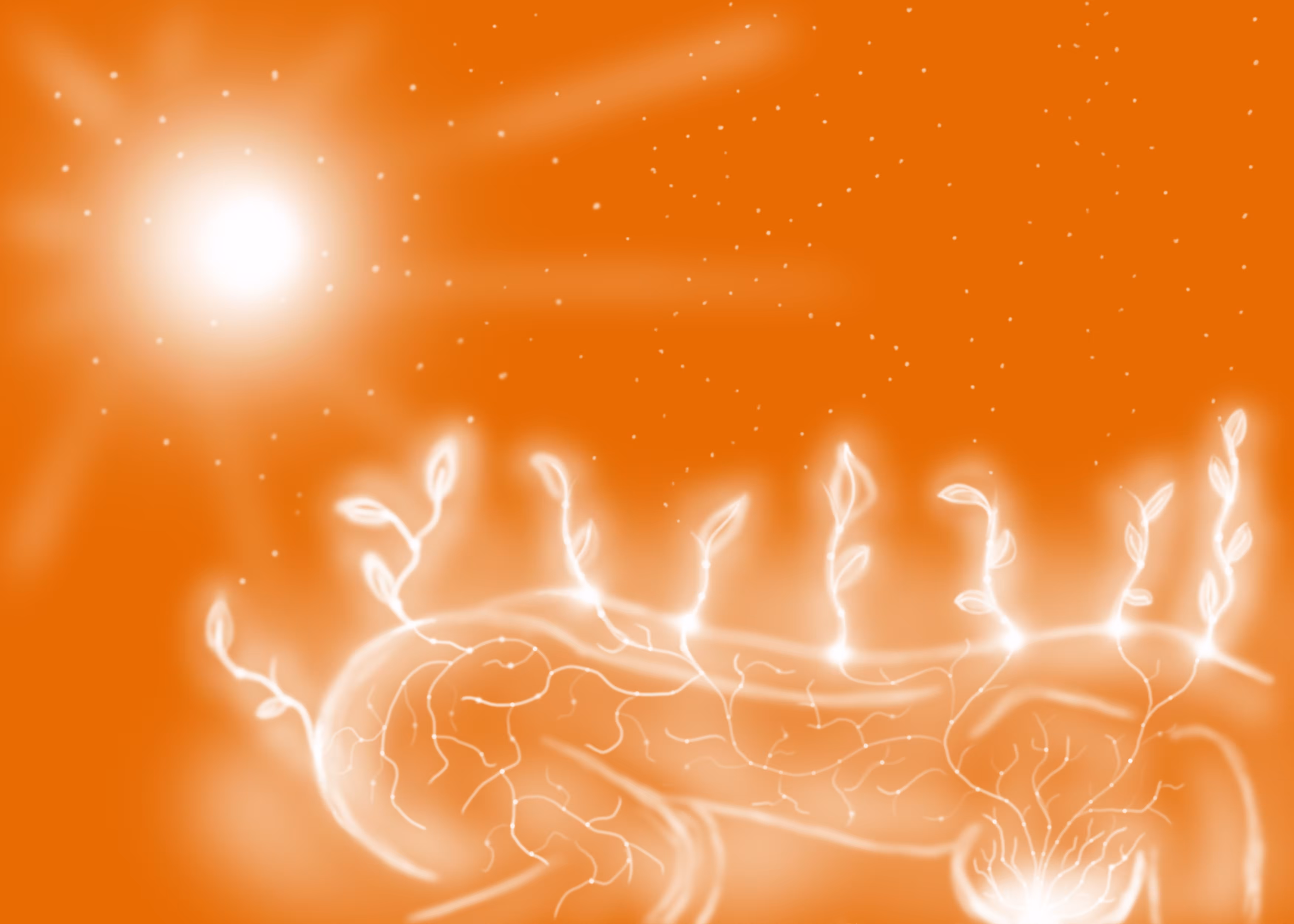 🧡Spiritual Photosynthesis🧡