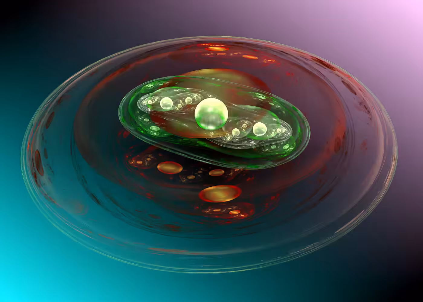 Disc Galaxy