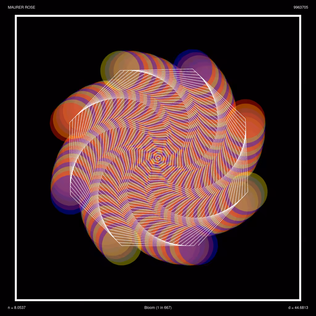 Spiral Bloom