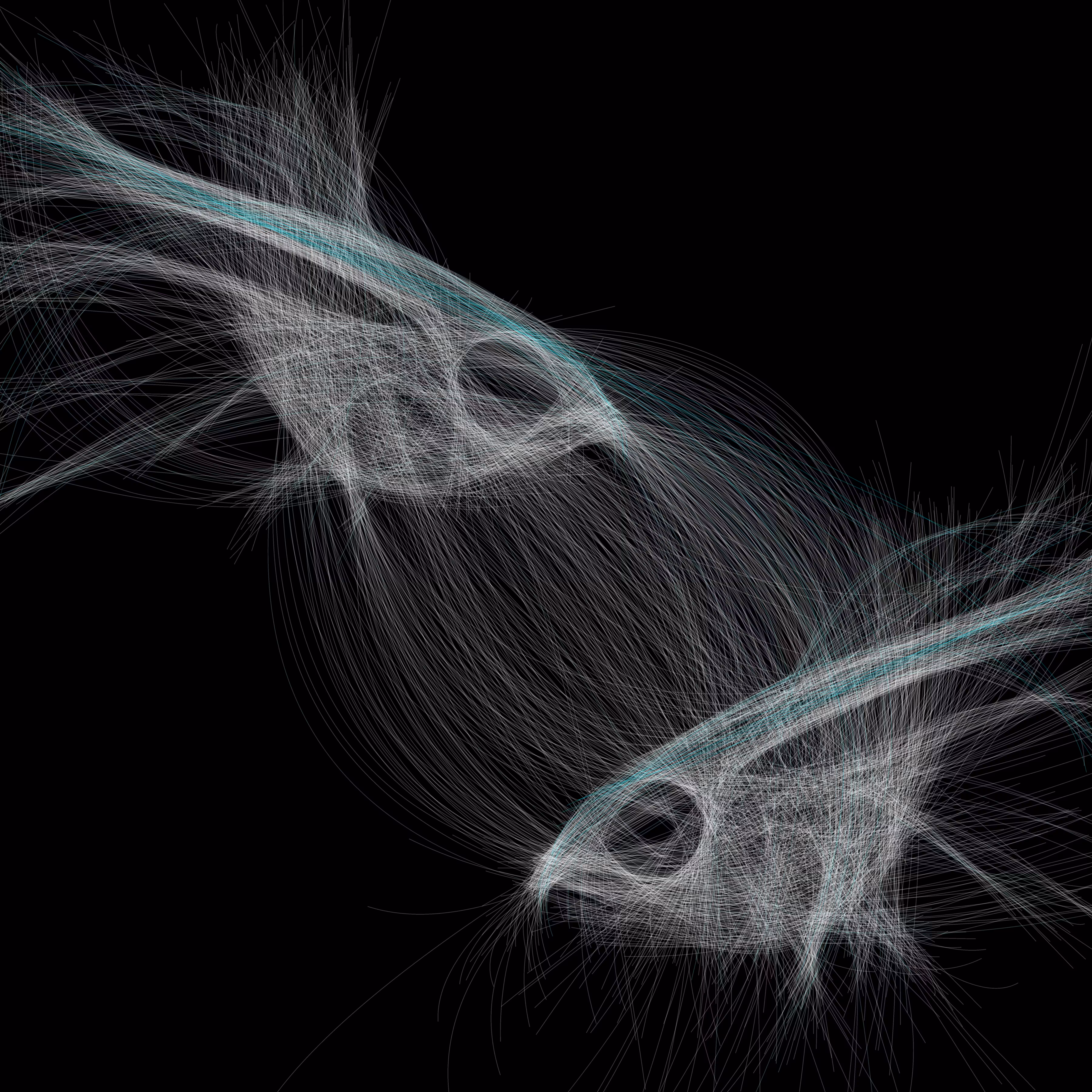UNDERWATER: Underwater 215