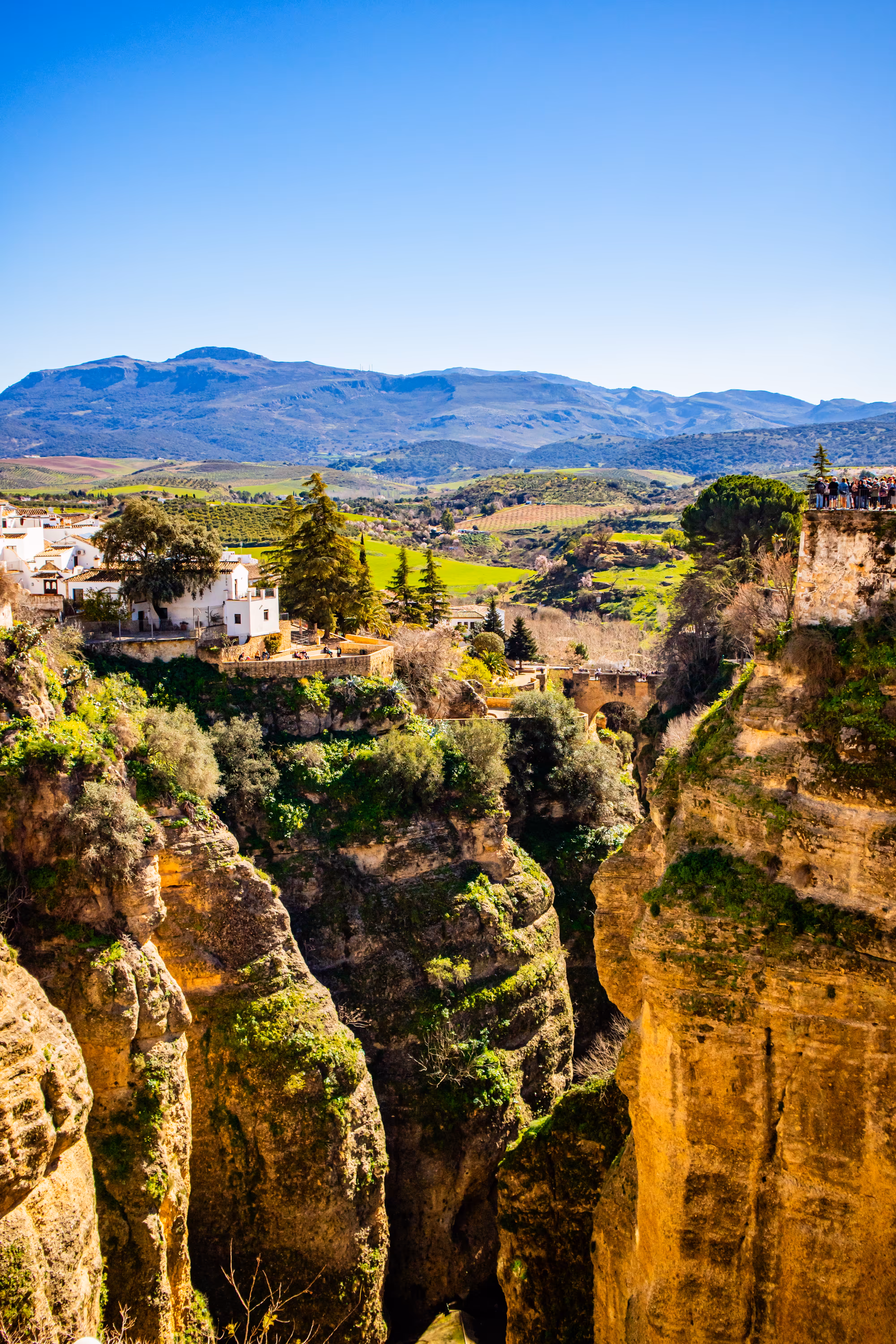 Ronda Cliffs