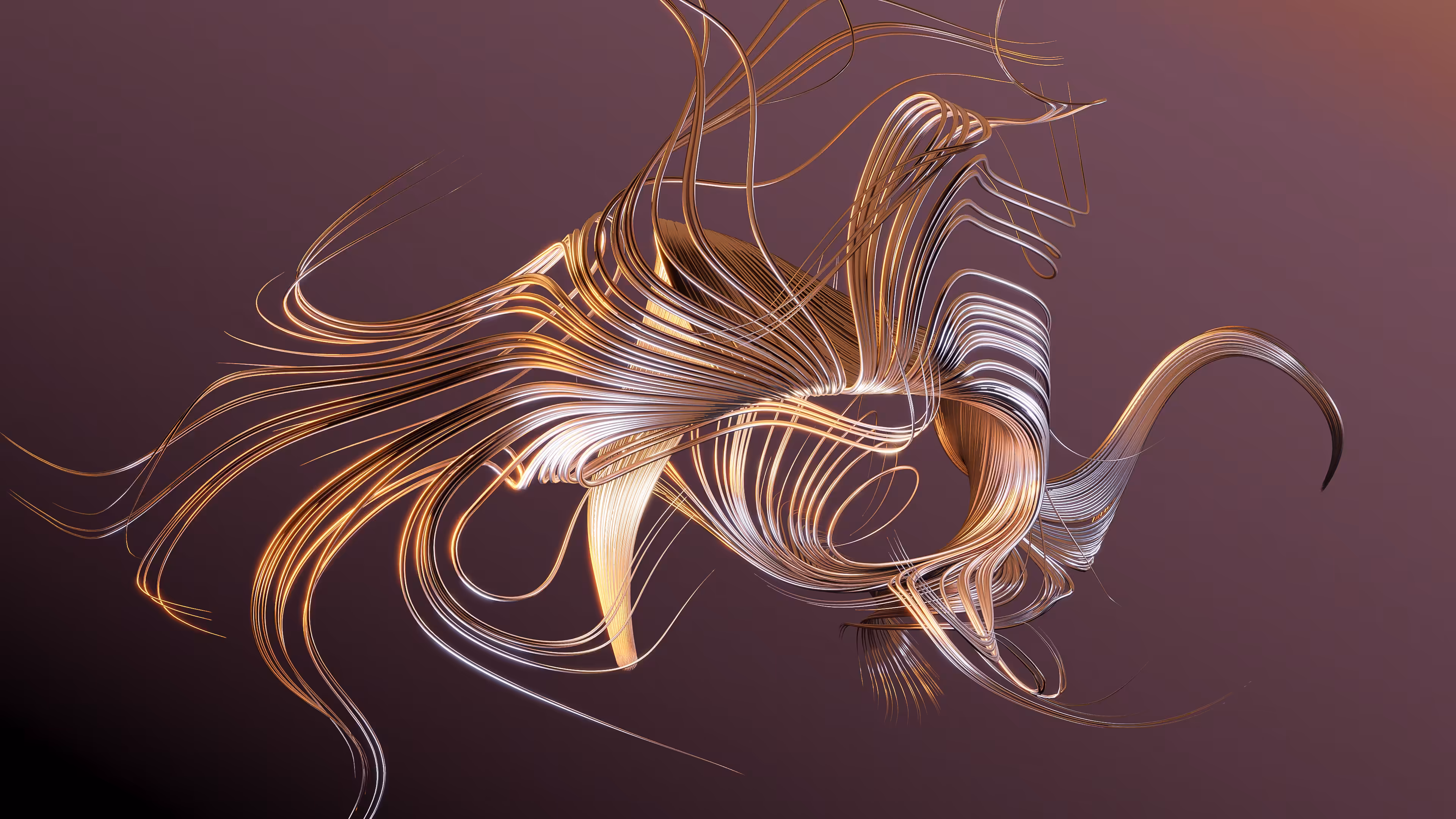 Golden Feather Curl #3