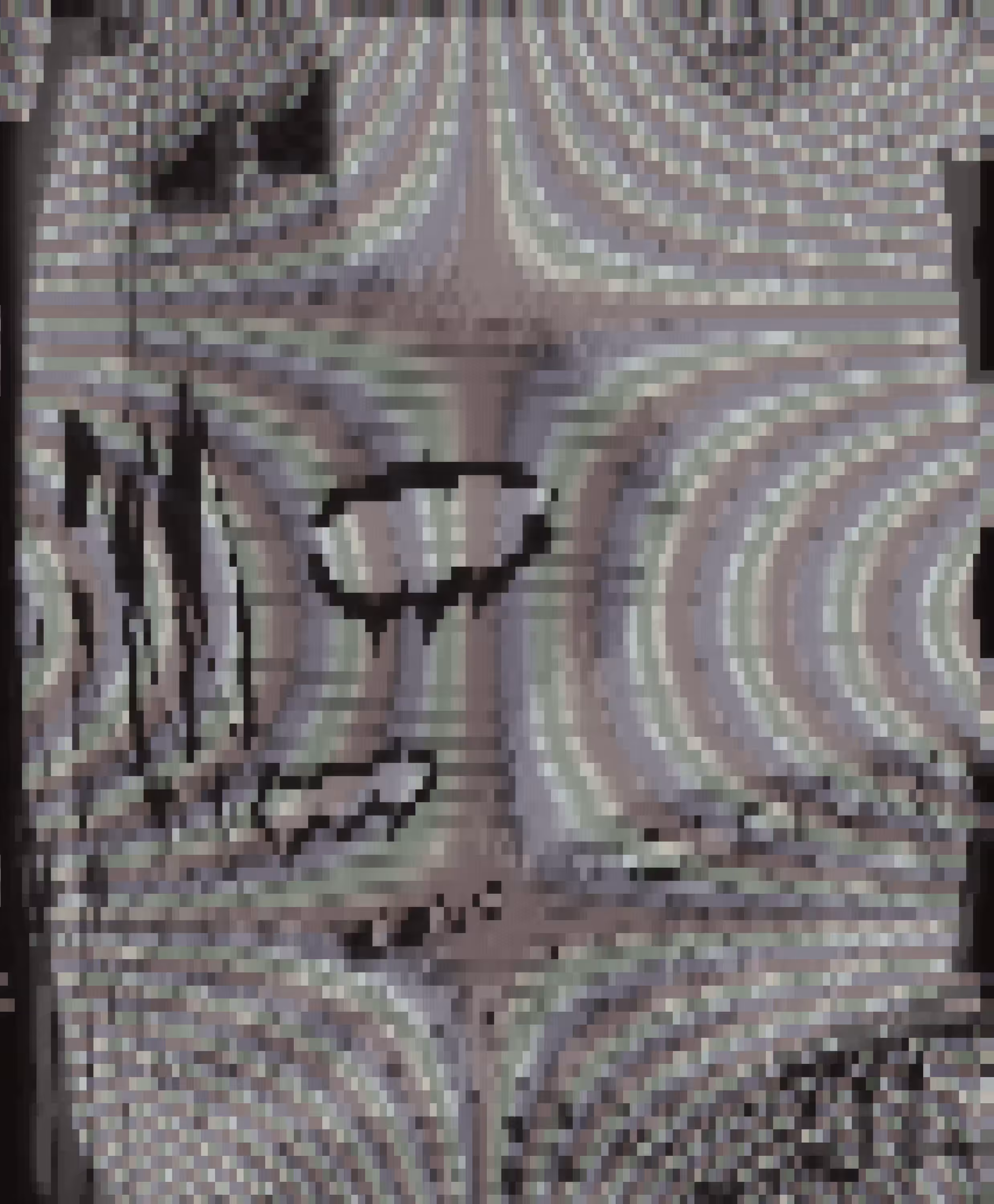 Questions in Visions 1