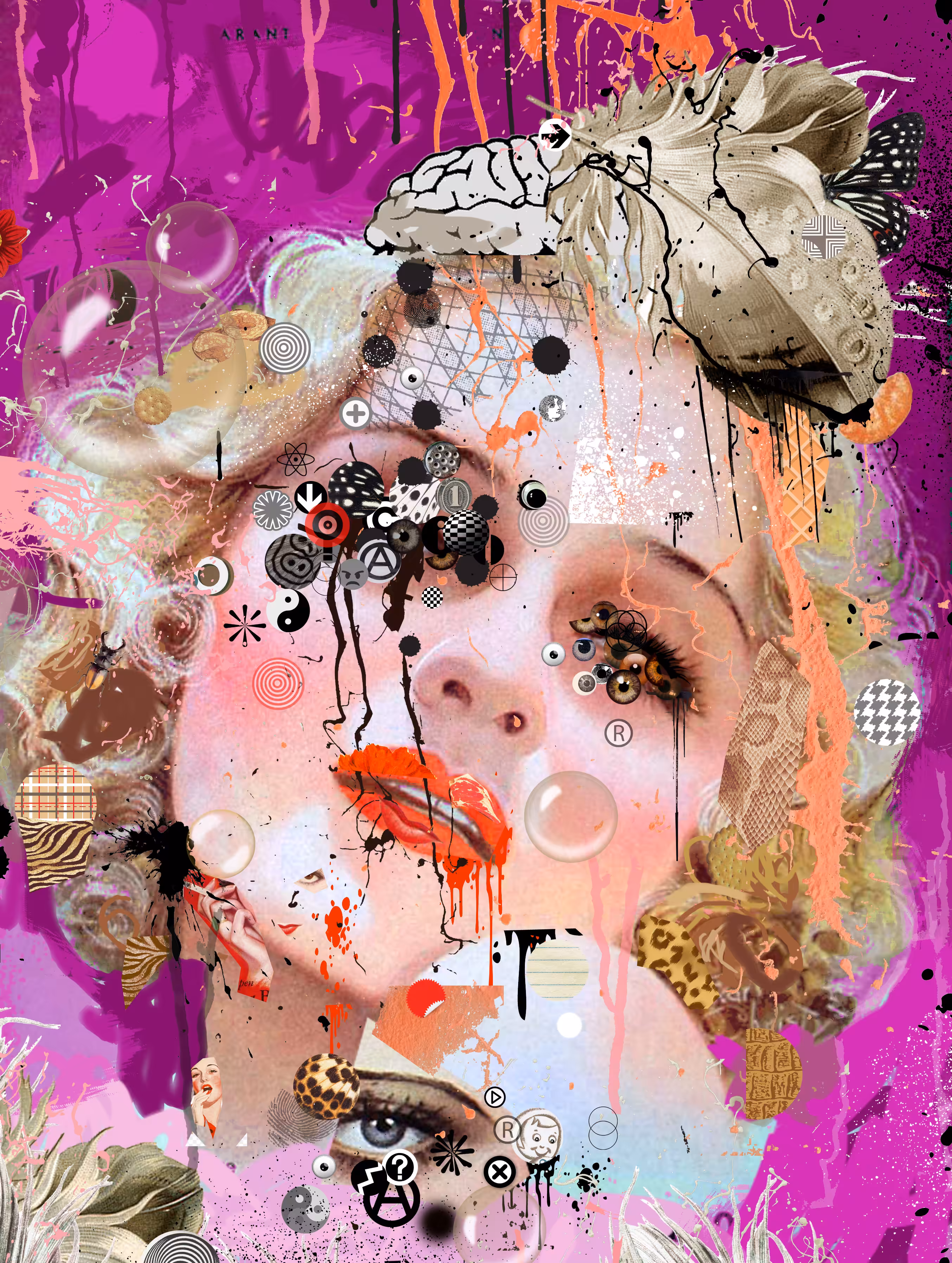 Animal Anarchy (Modern Girls, Modern Boys series), 2023