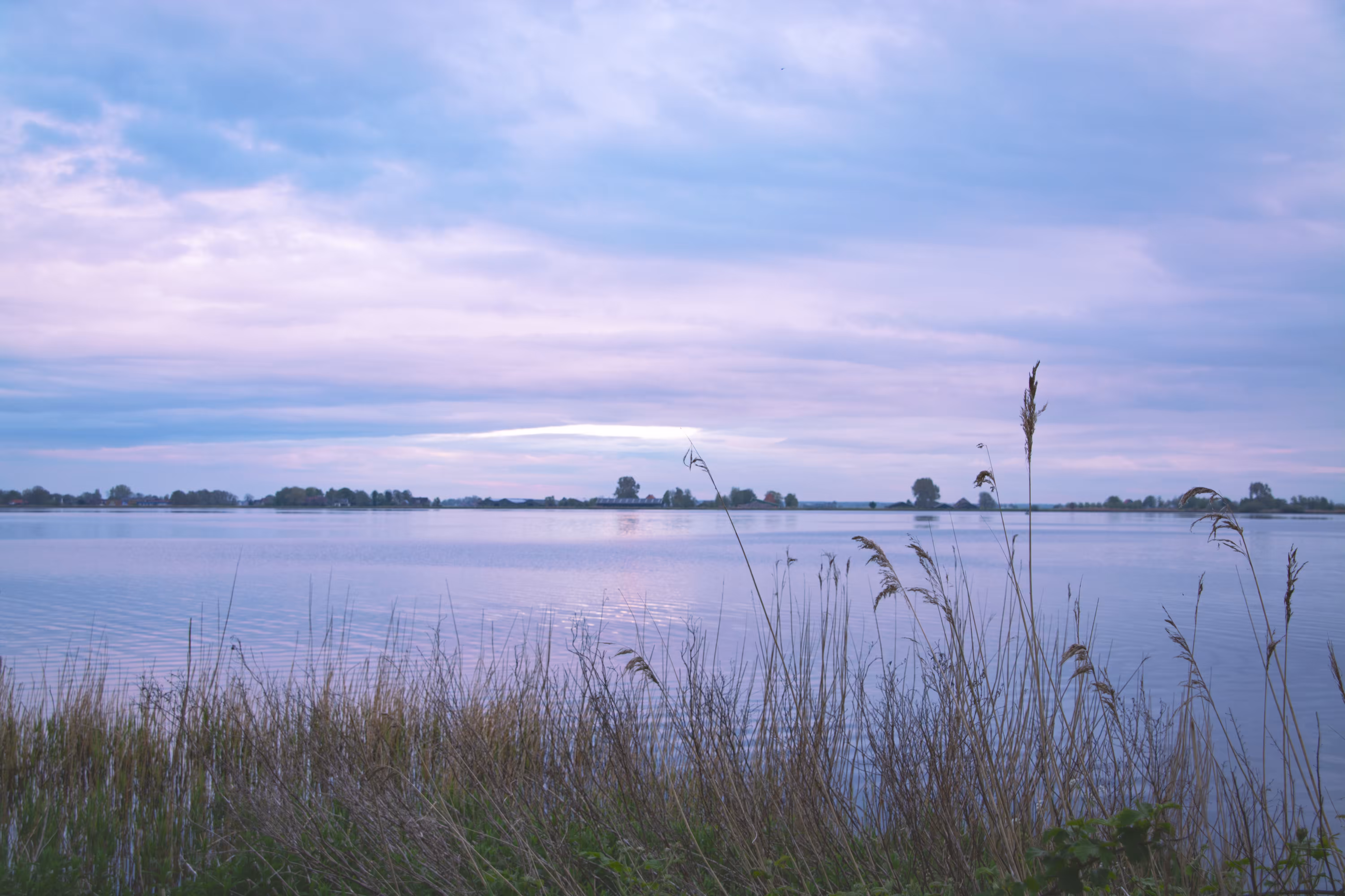 Whispers of Still Water