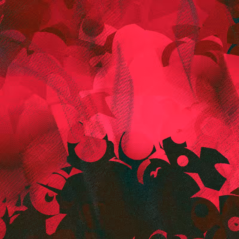 anomalia.12 #7