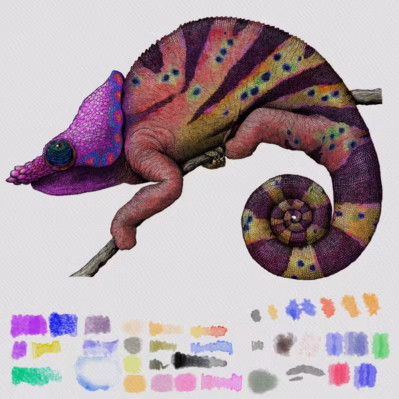 Colorful Cameleon #22