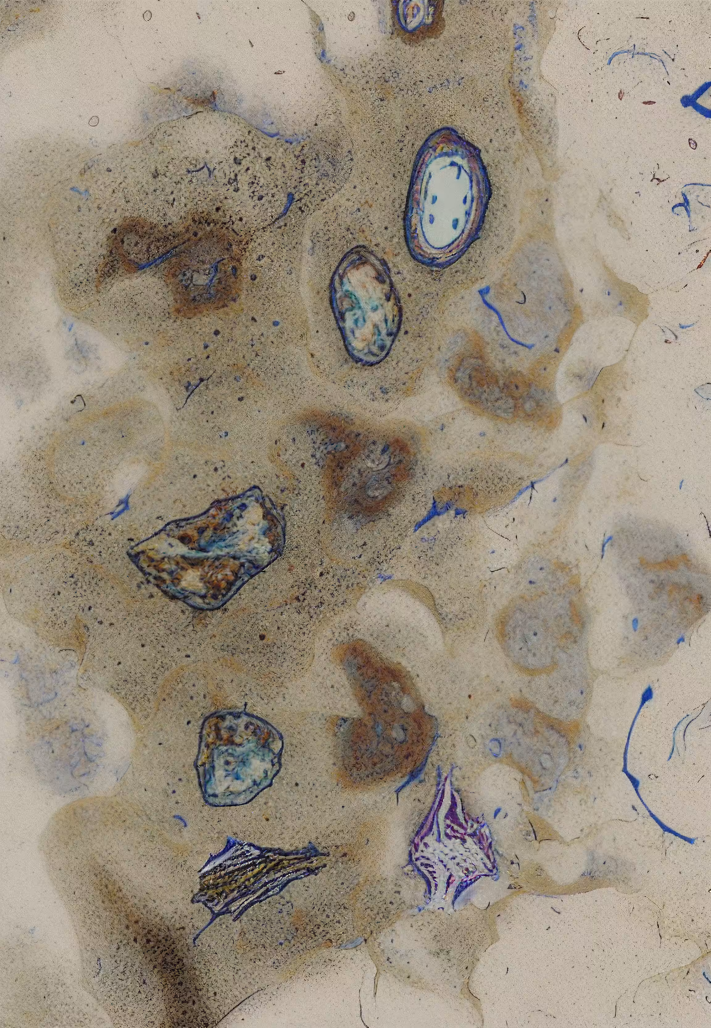 Histologia In Silico #133