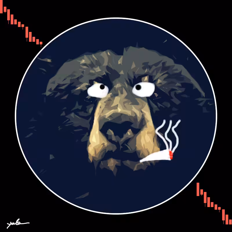 Bears VS Bulls #11