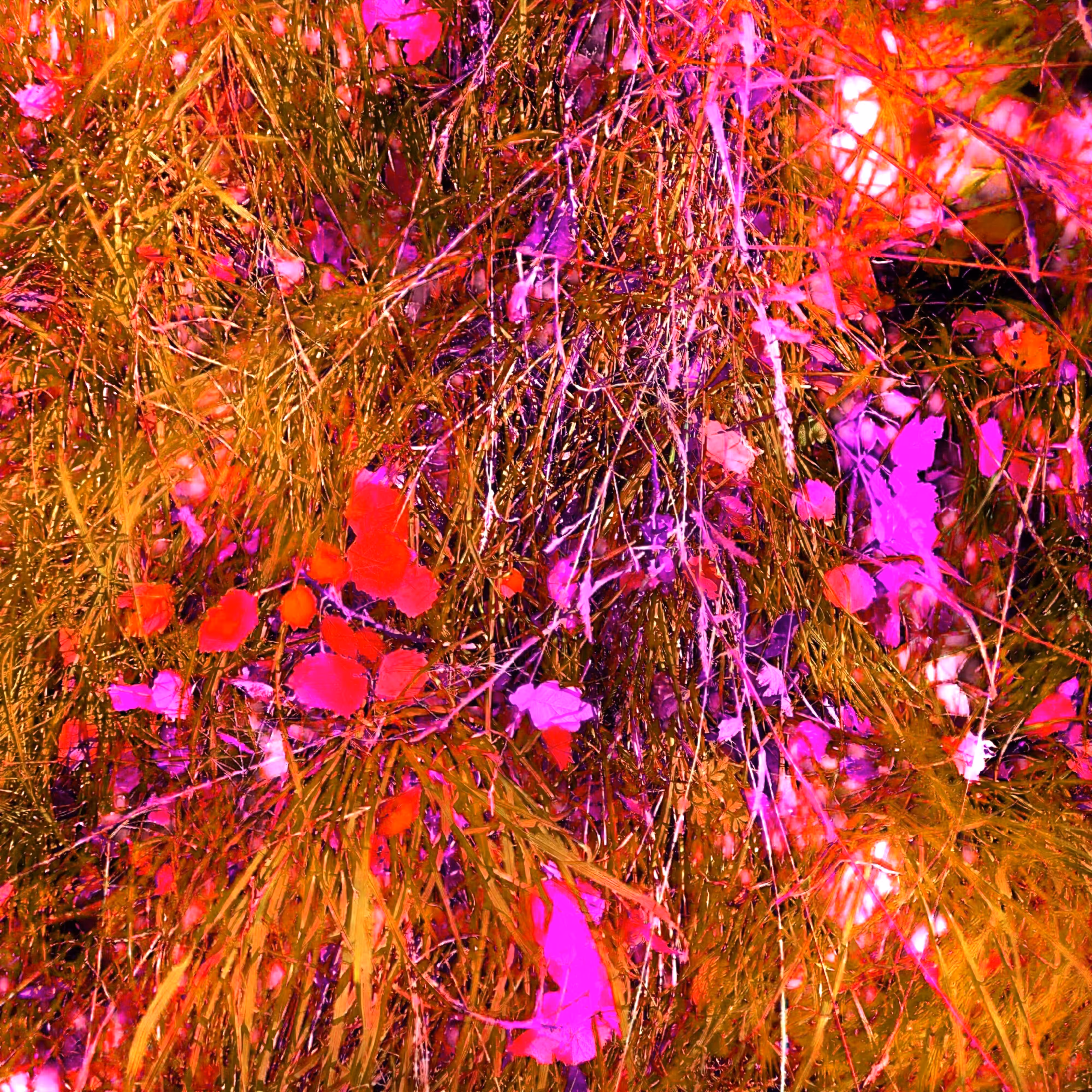 Autonomous Forest Plots: Plot u329hvhdc