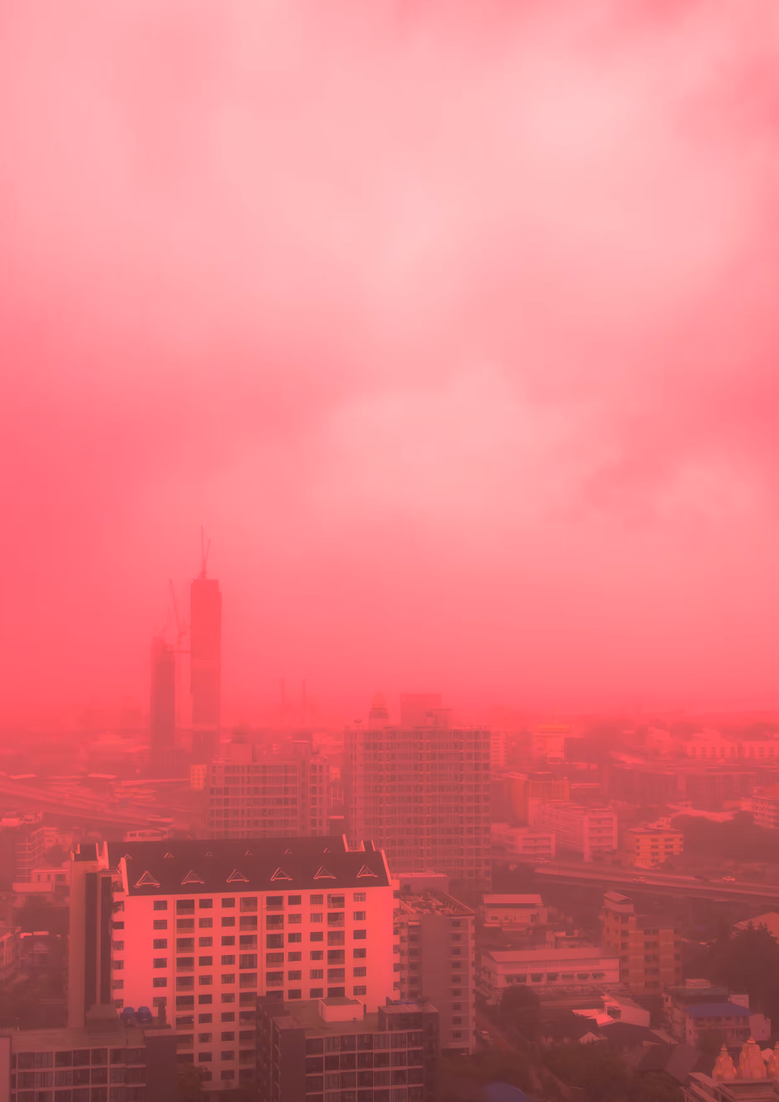 25th Floor #19