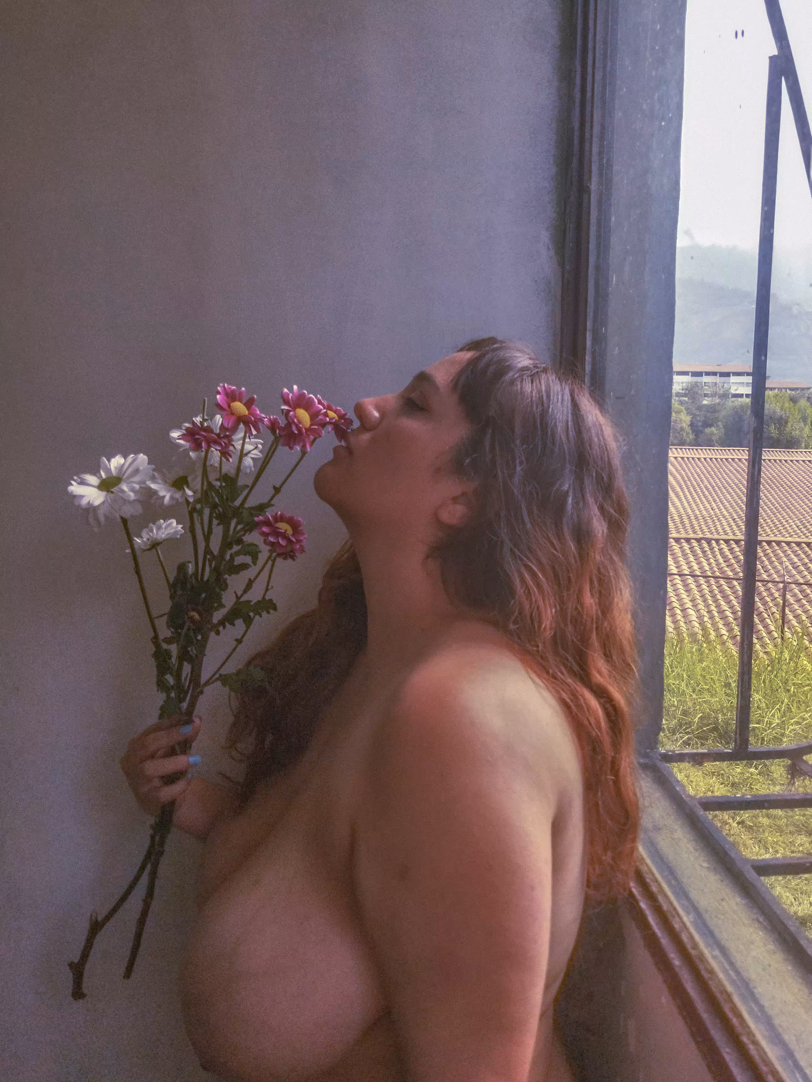 Nostalgic Dreams