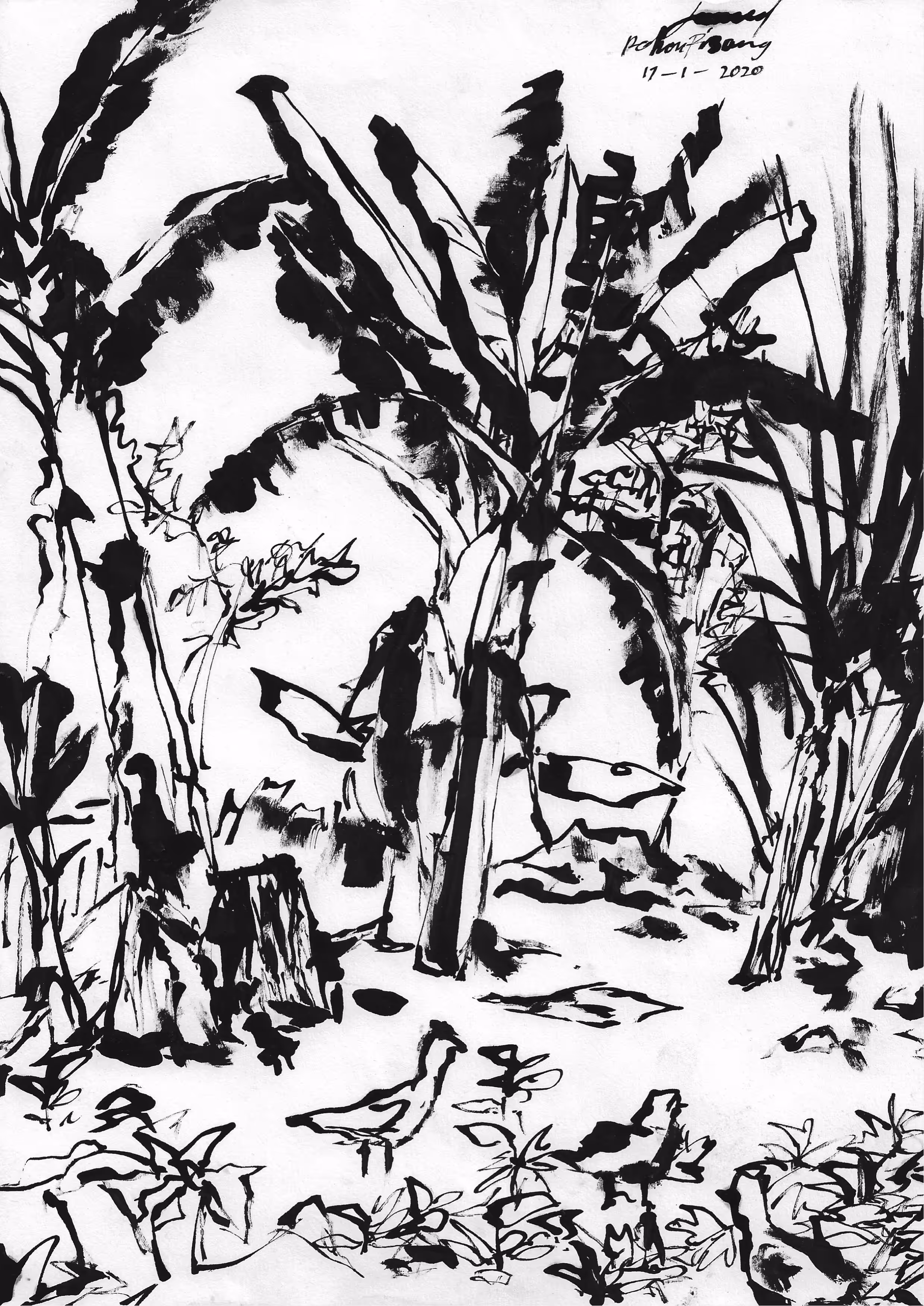 Sketch #002