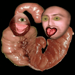 skrufileort