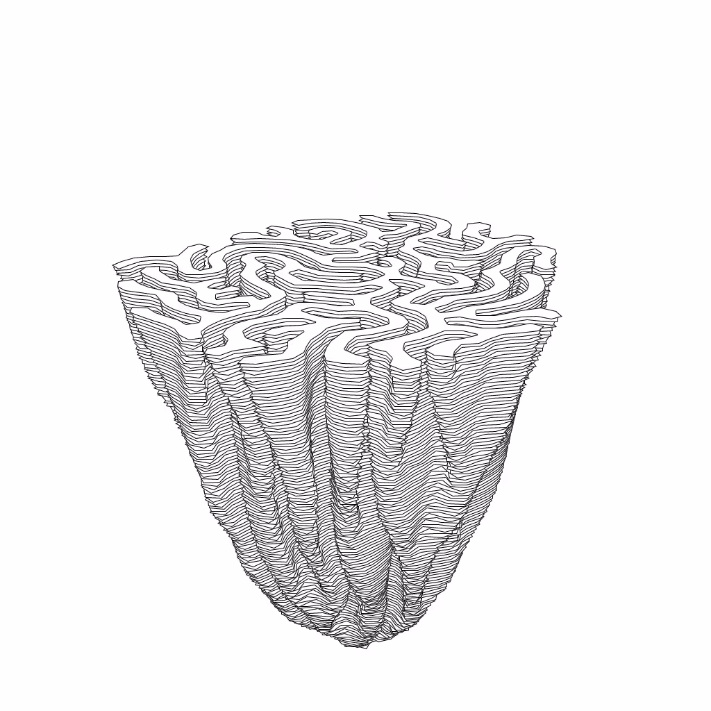 LL21 Differential Growth #19