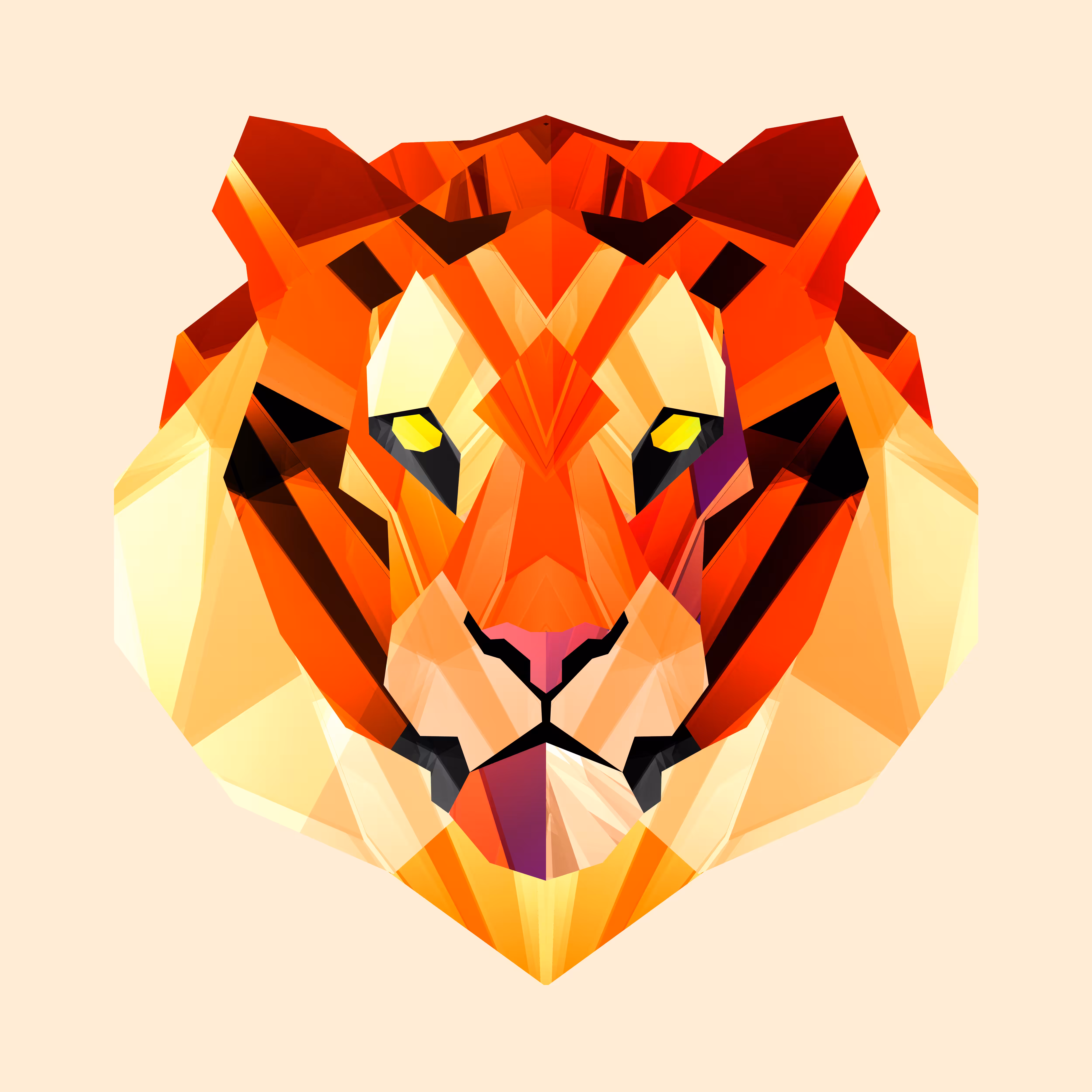 FACETS: Raja