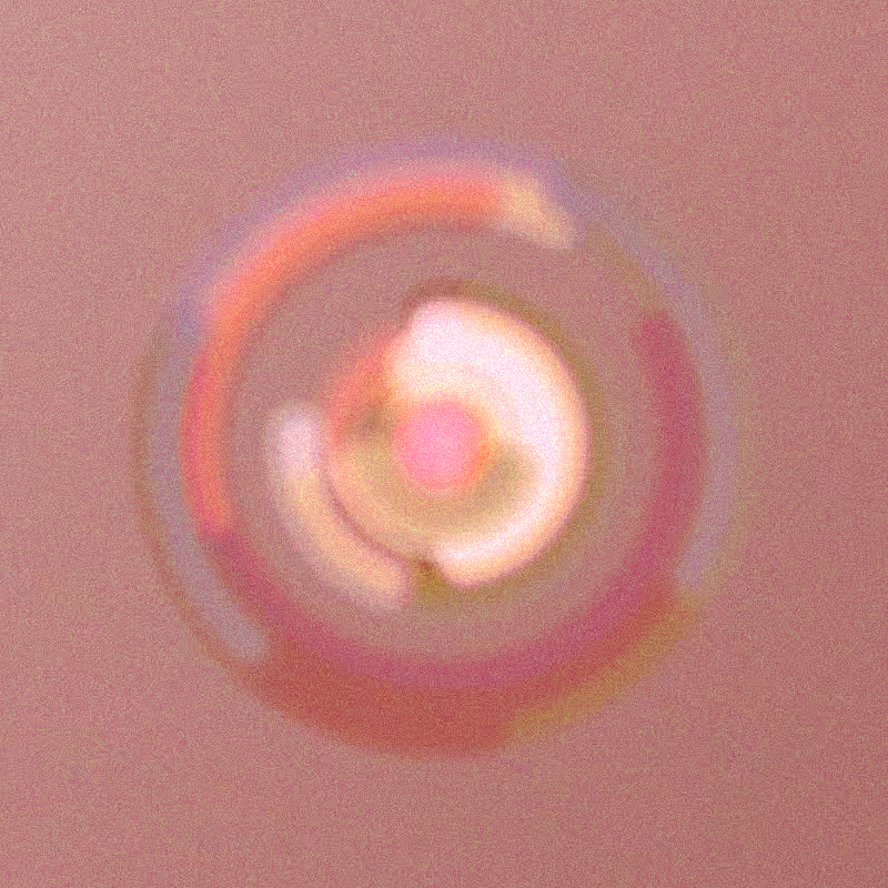 Wisp #944