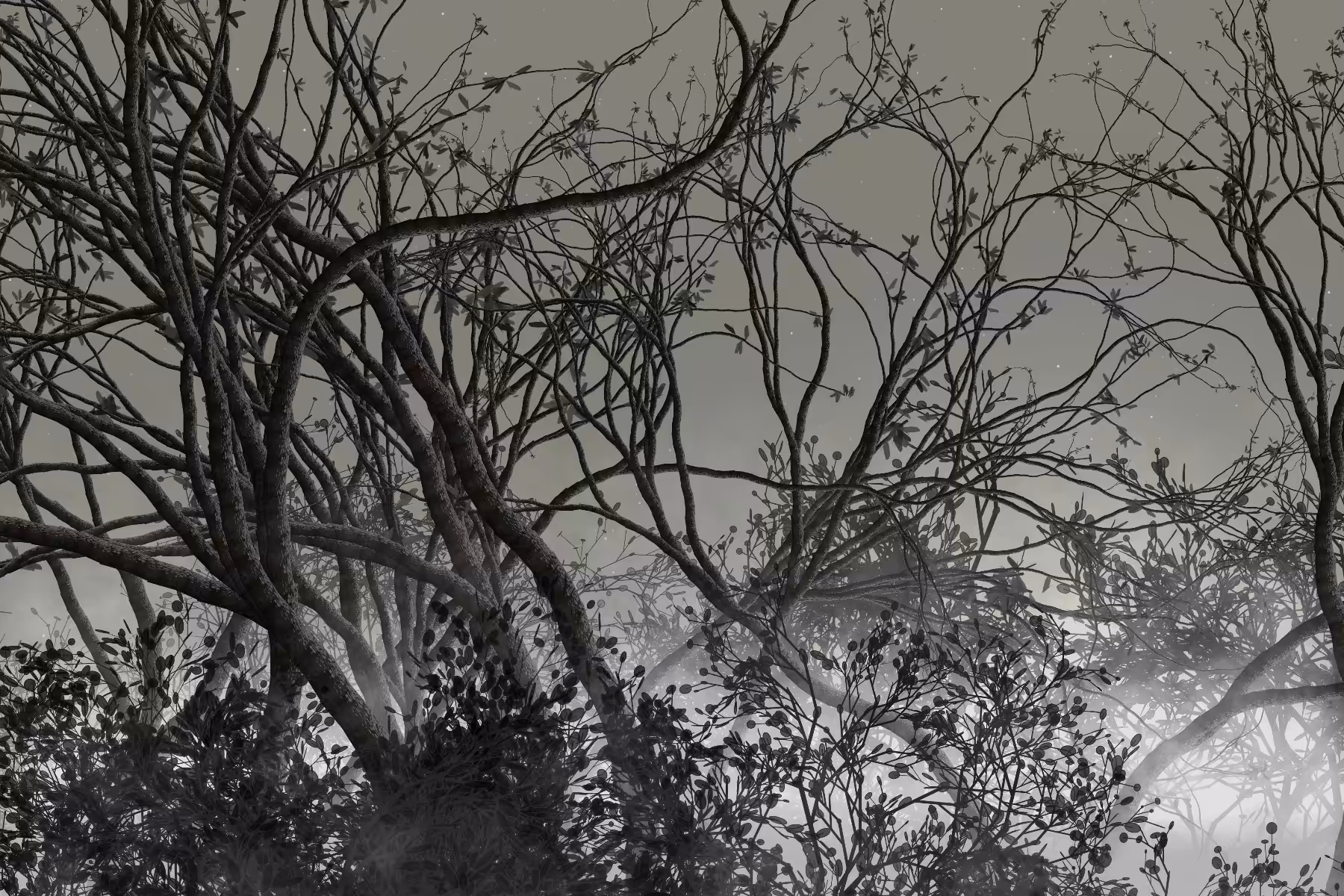 Morning Mist #155