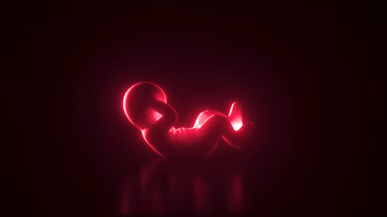 Metadude 001