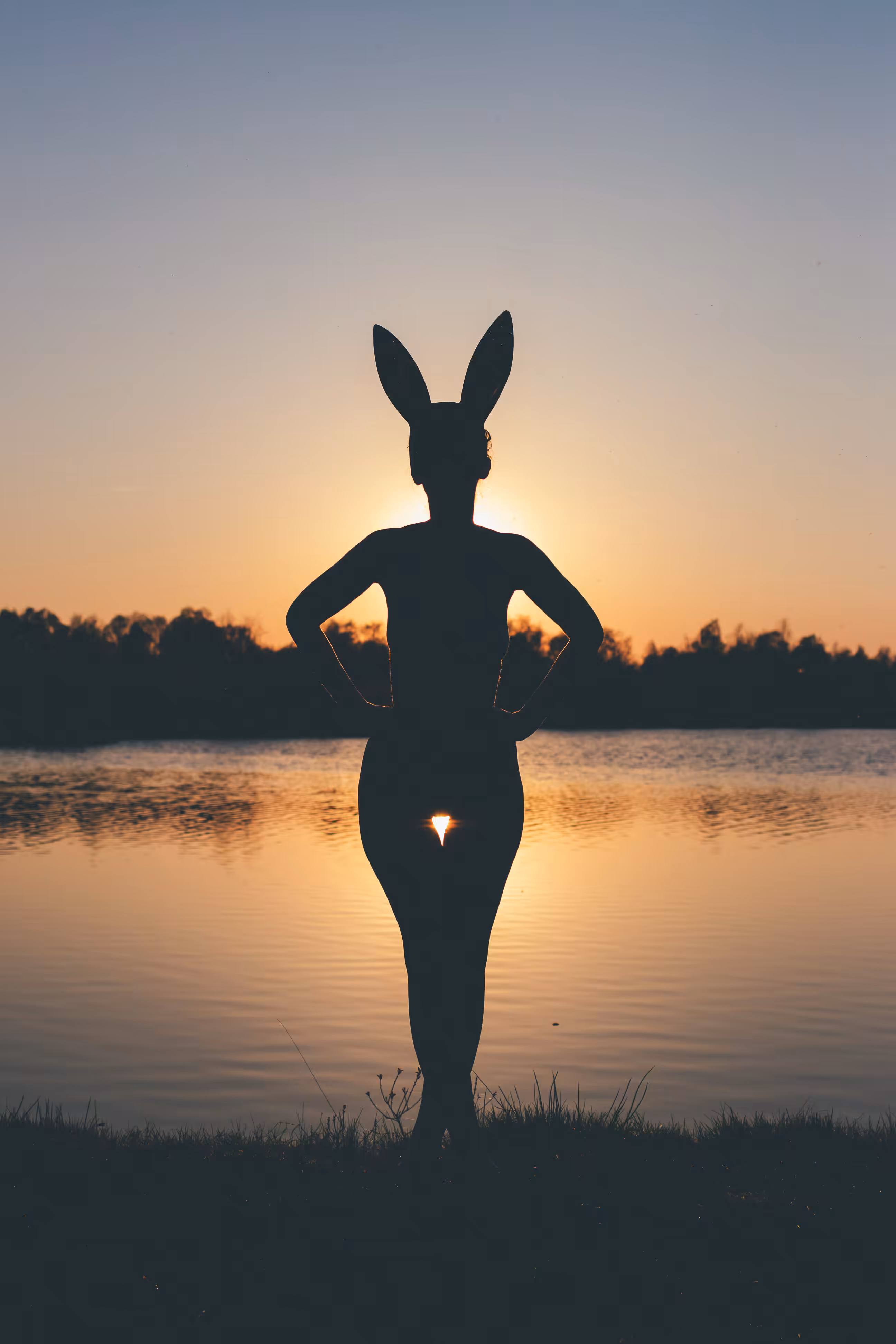 Sunset bunny