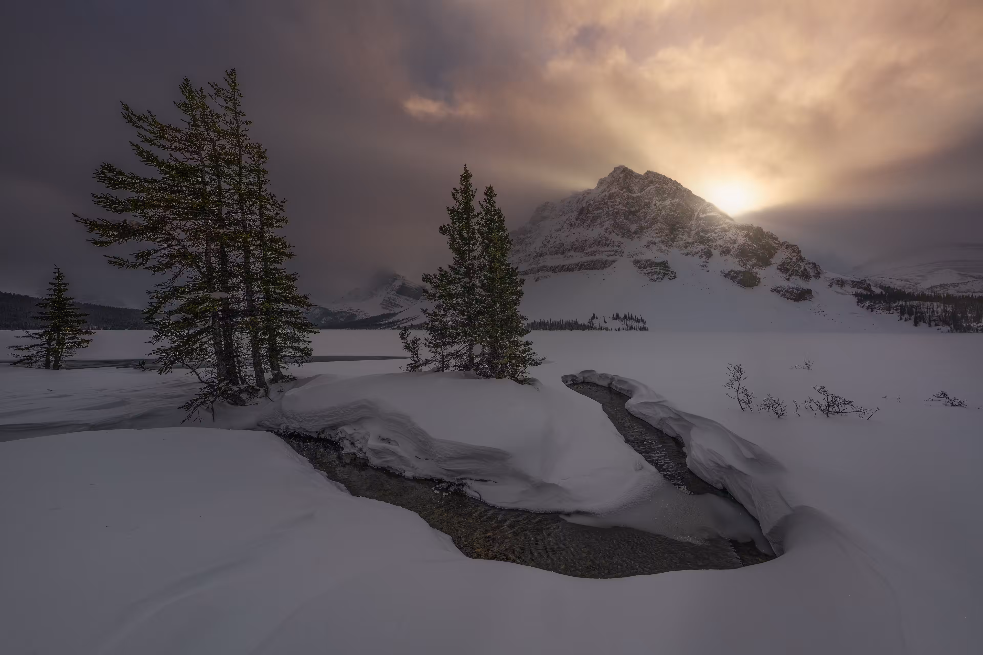 Winterland