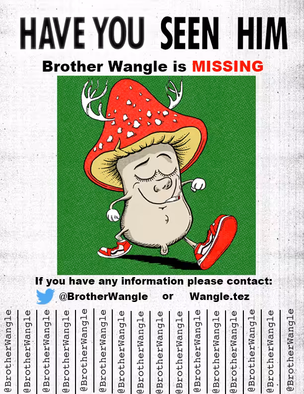 Missing Wangle 38