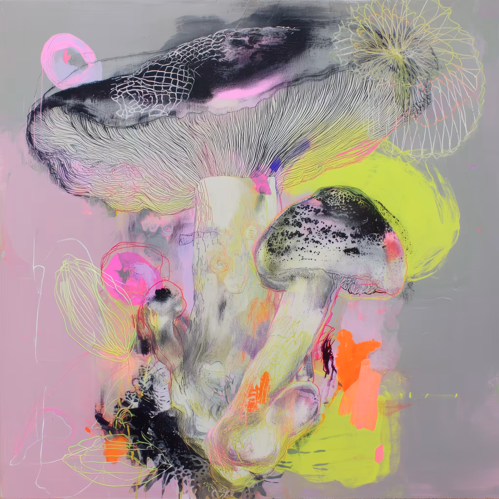 Spore No.02