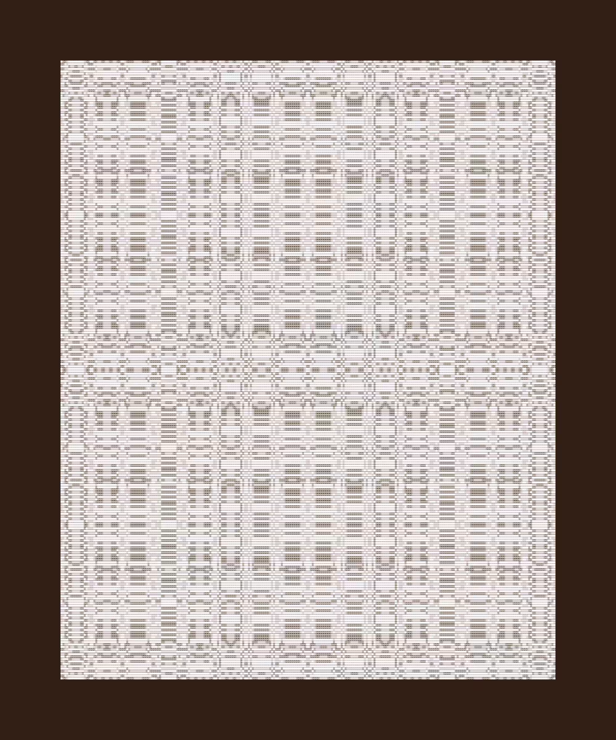 Warp #313