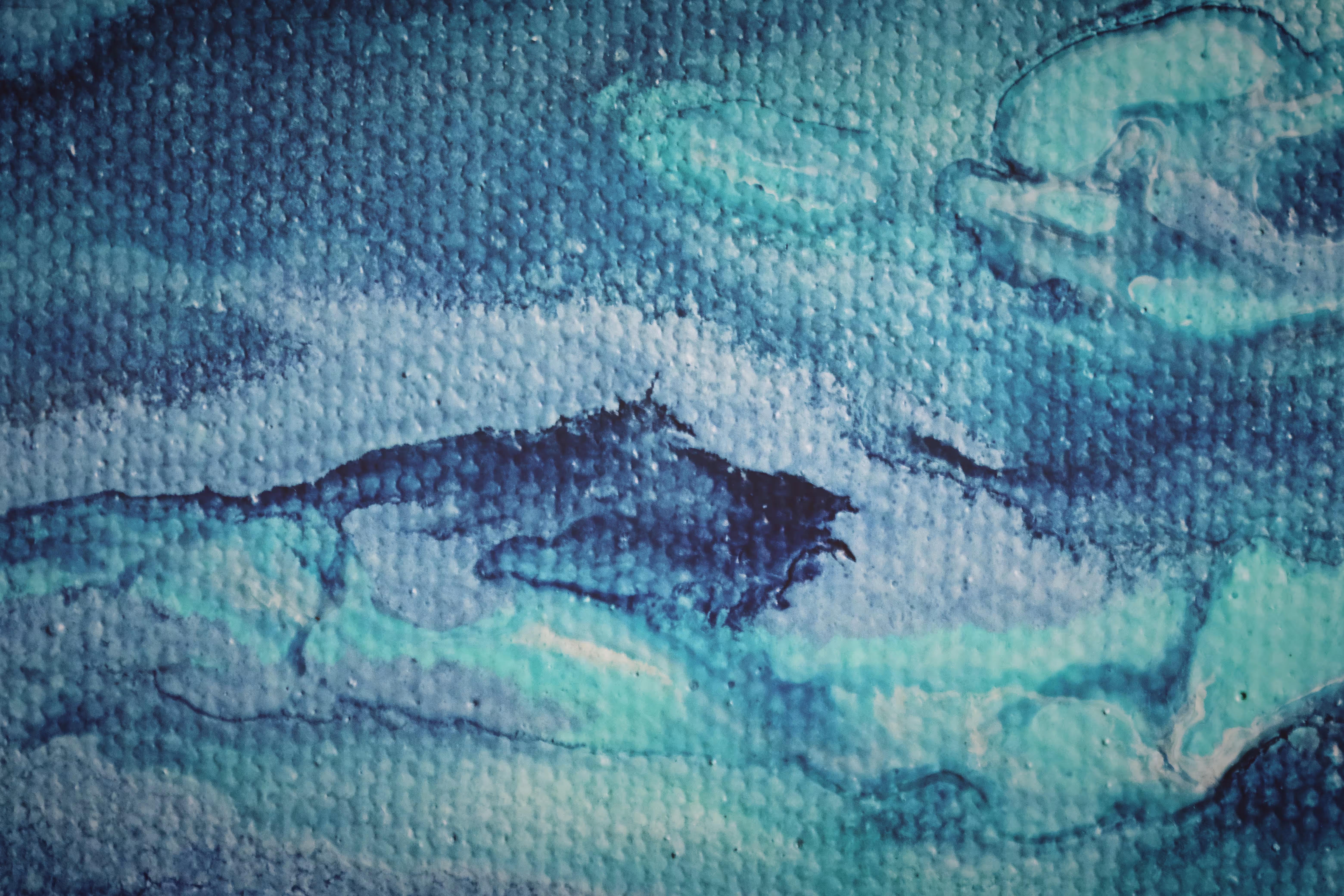 whale