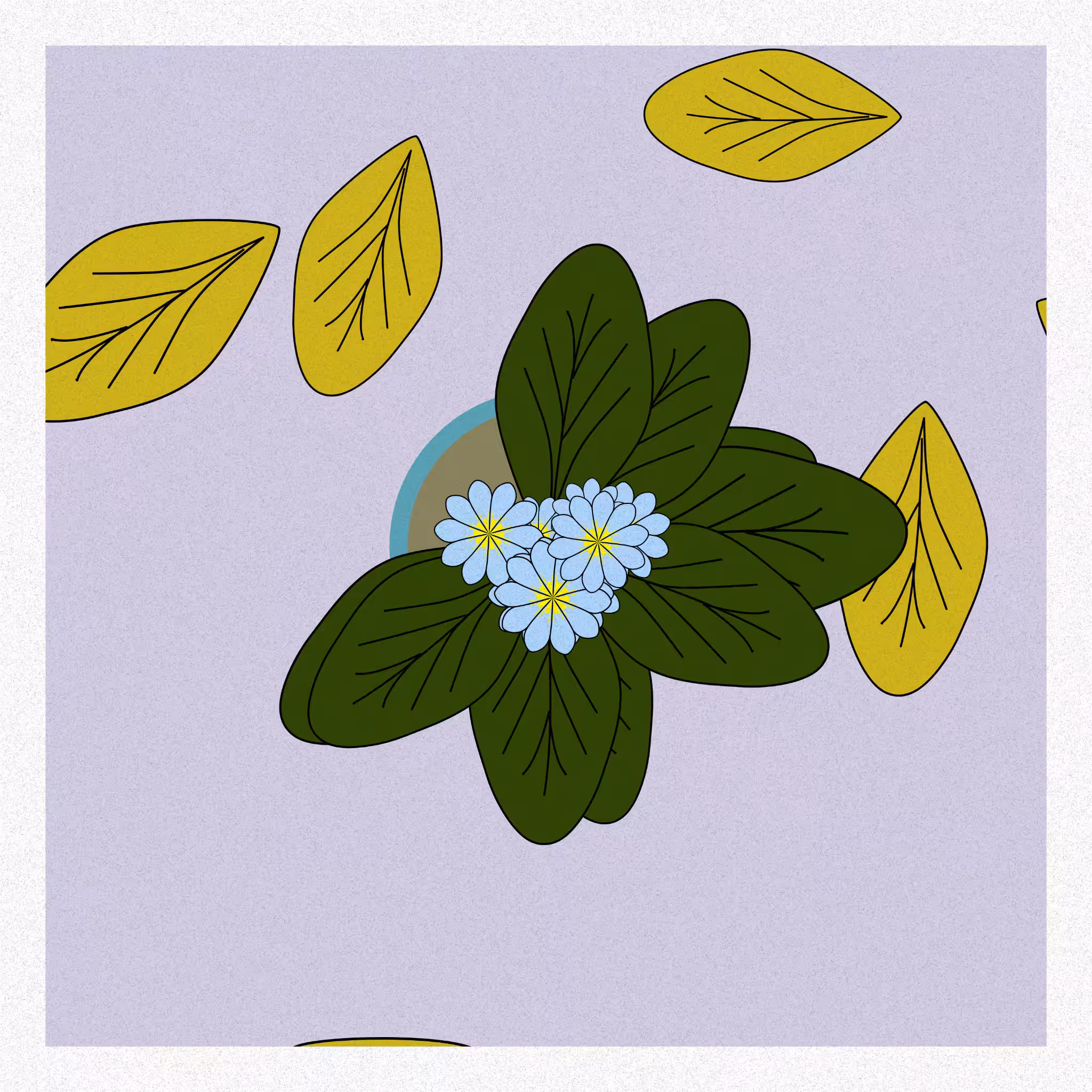 Flowers #36
