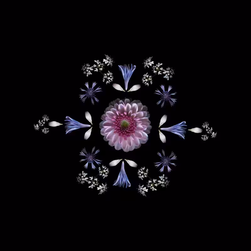 PISCES - the star- 