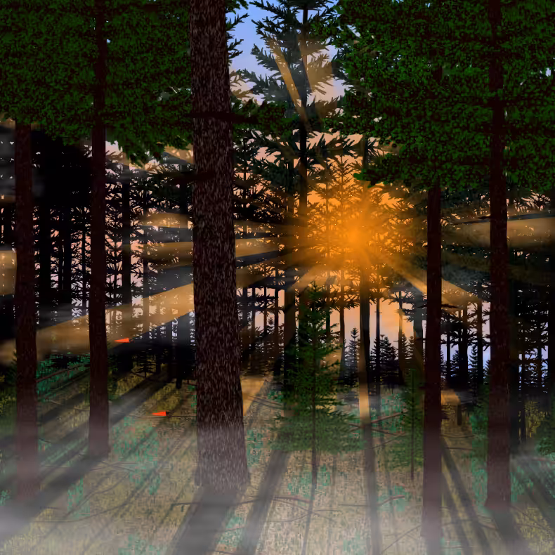 Forest Sunrise #36