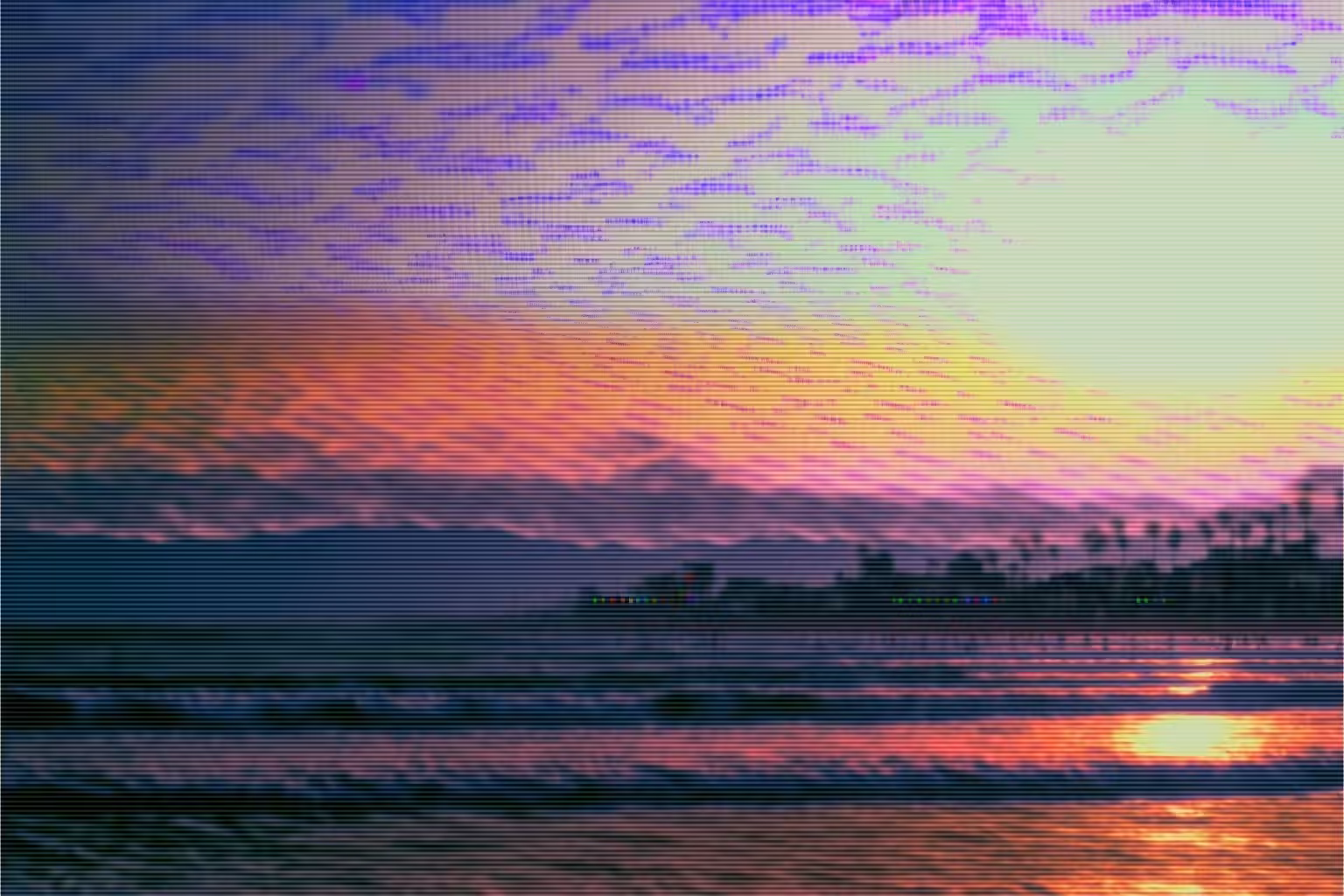 NULL_VISTA 003