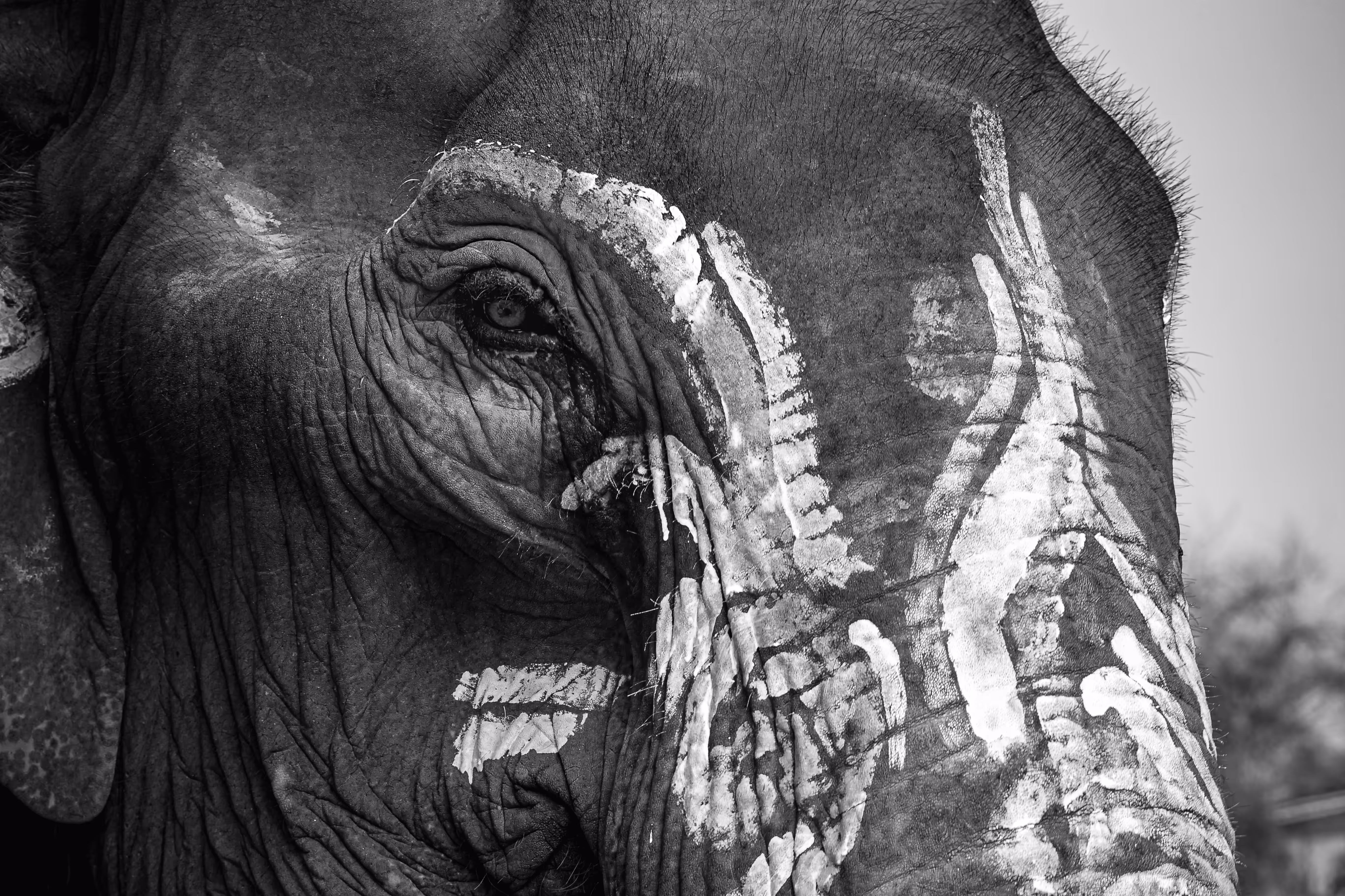 B&W Photography: Eye contact