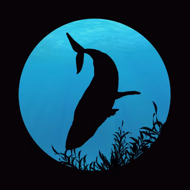 Whale #2