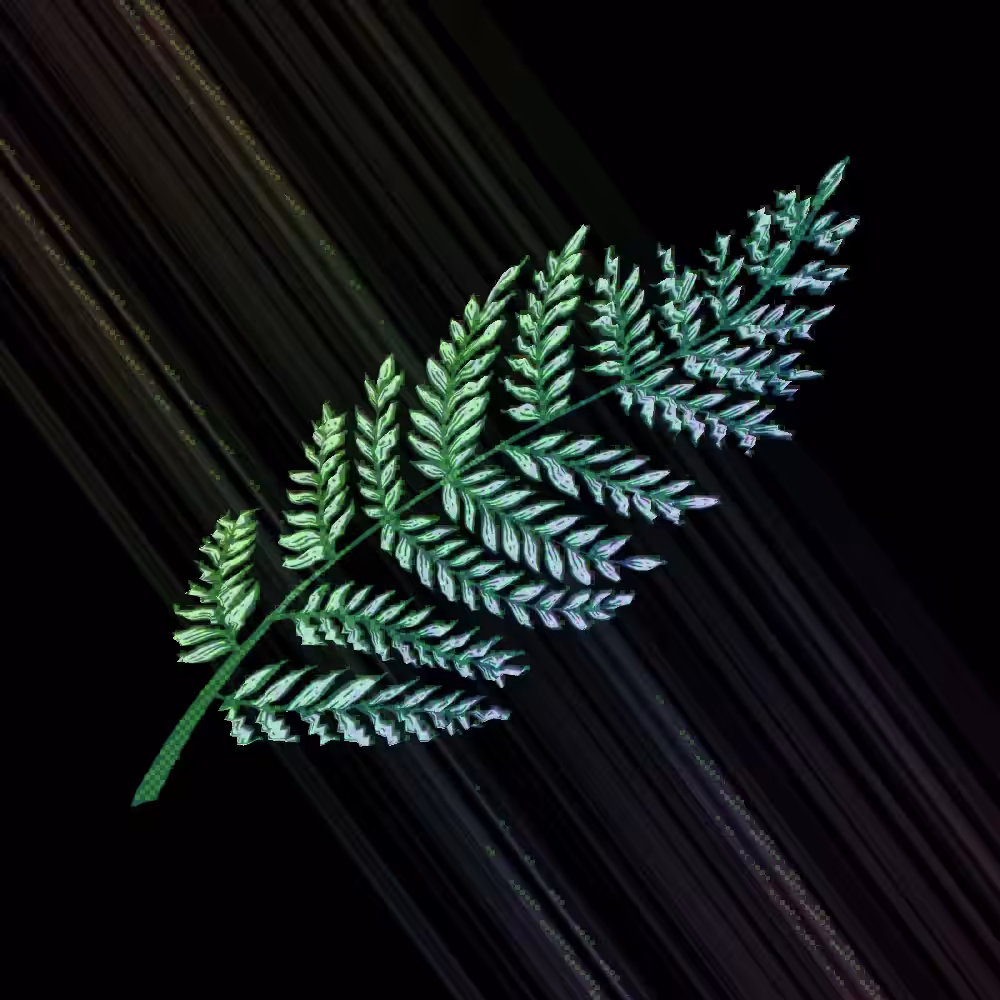 /Polypodióphyta/