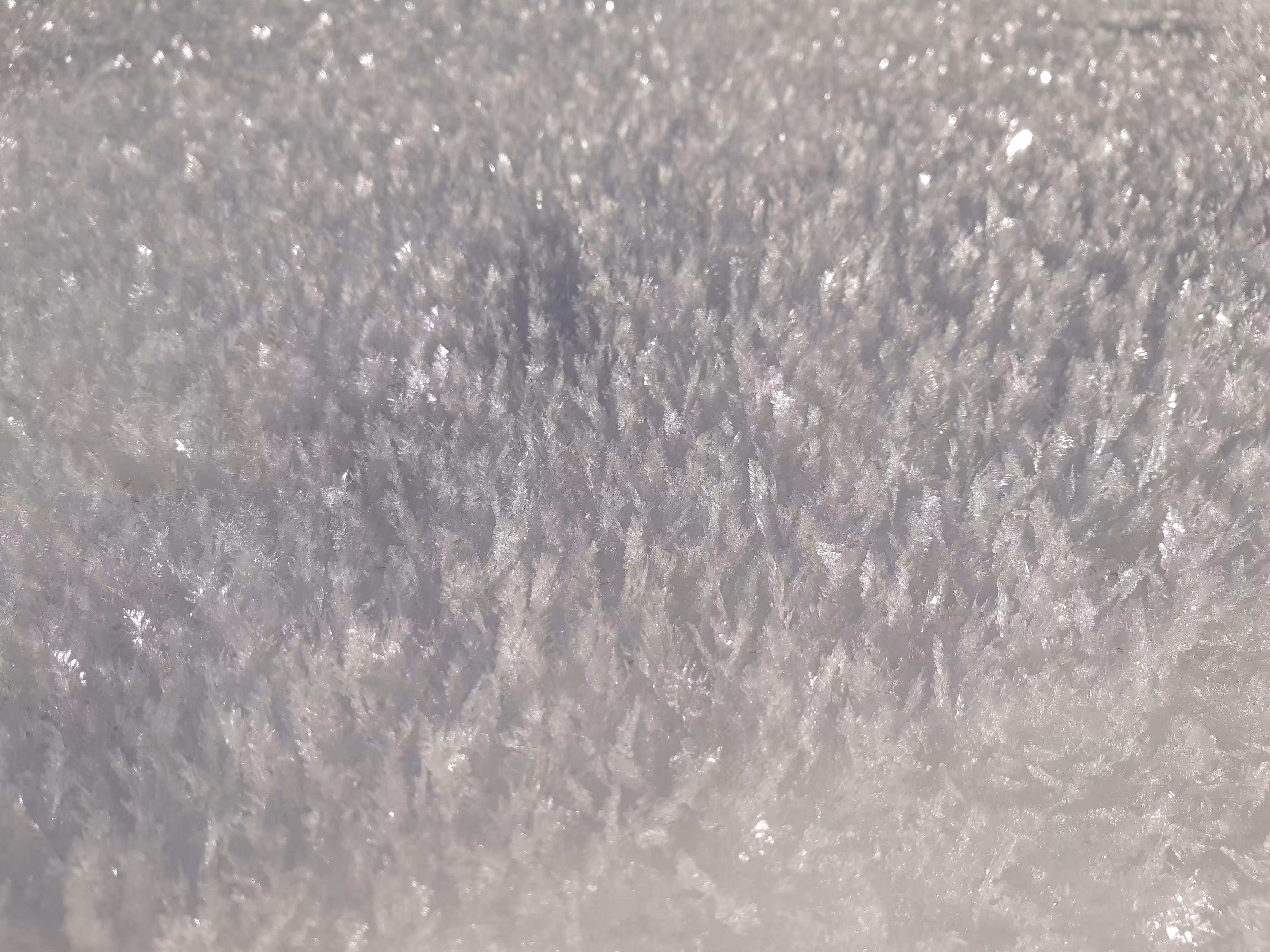 De la Neige en été #5