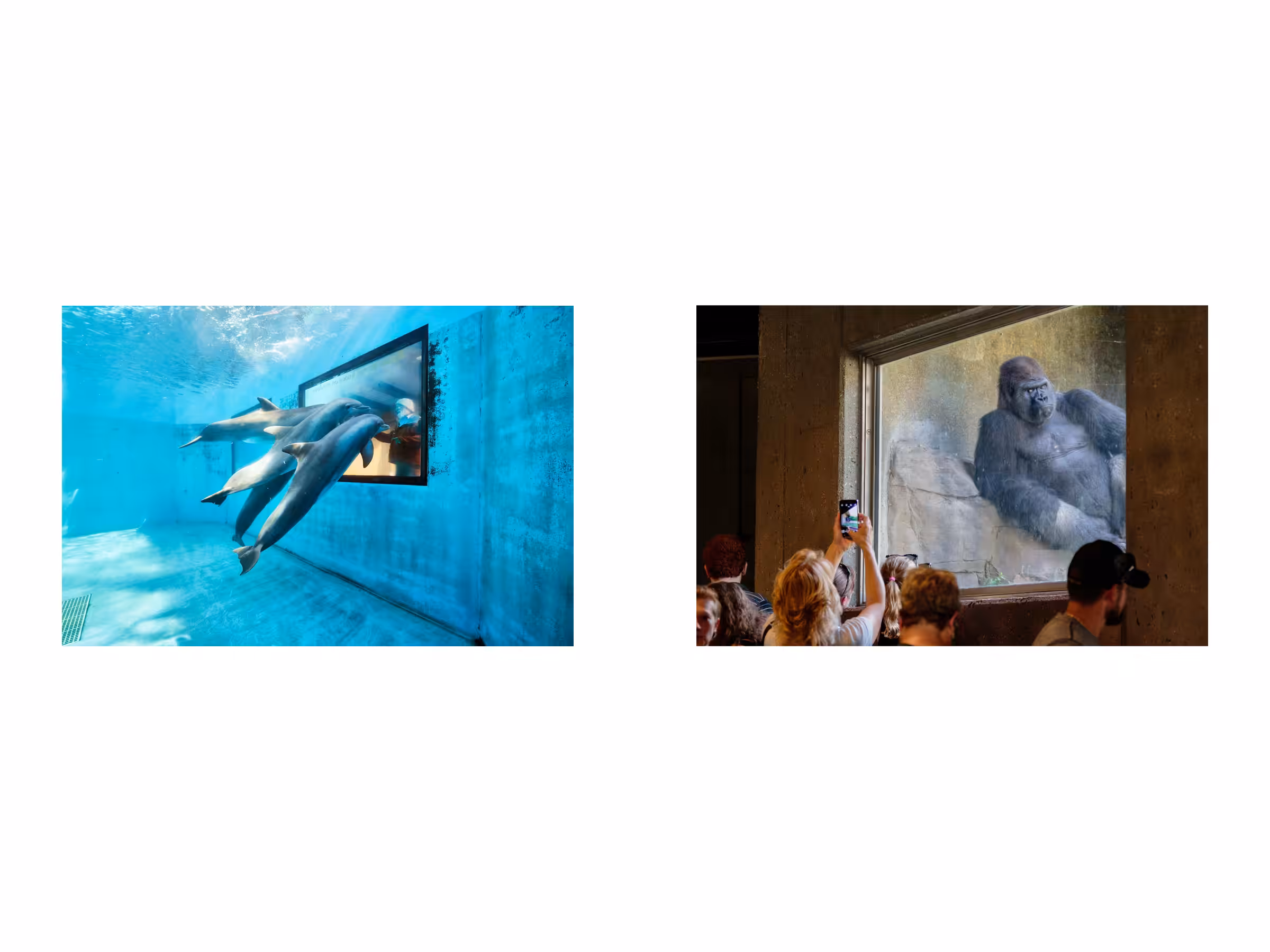 two images 2/22/25