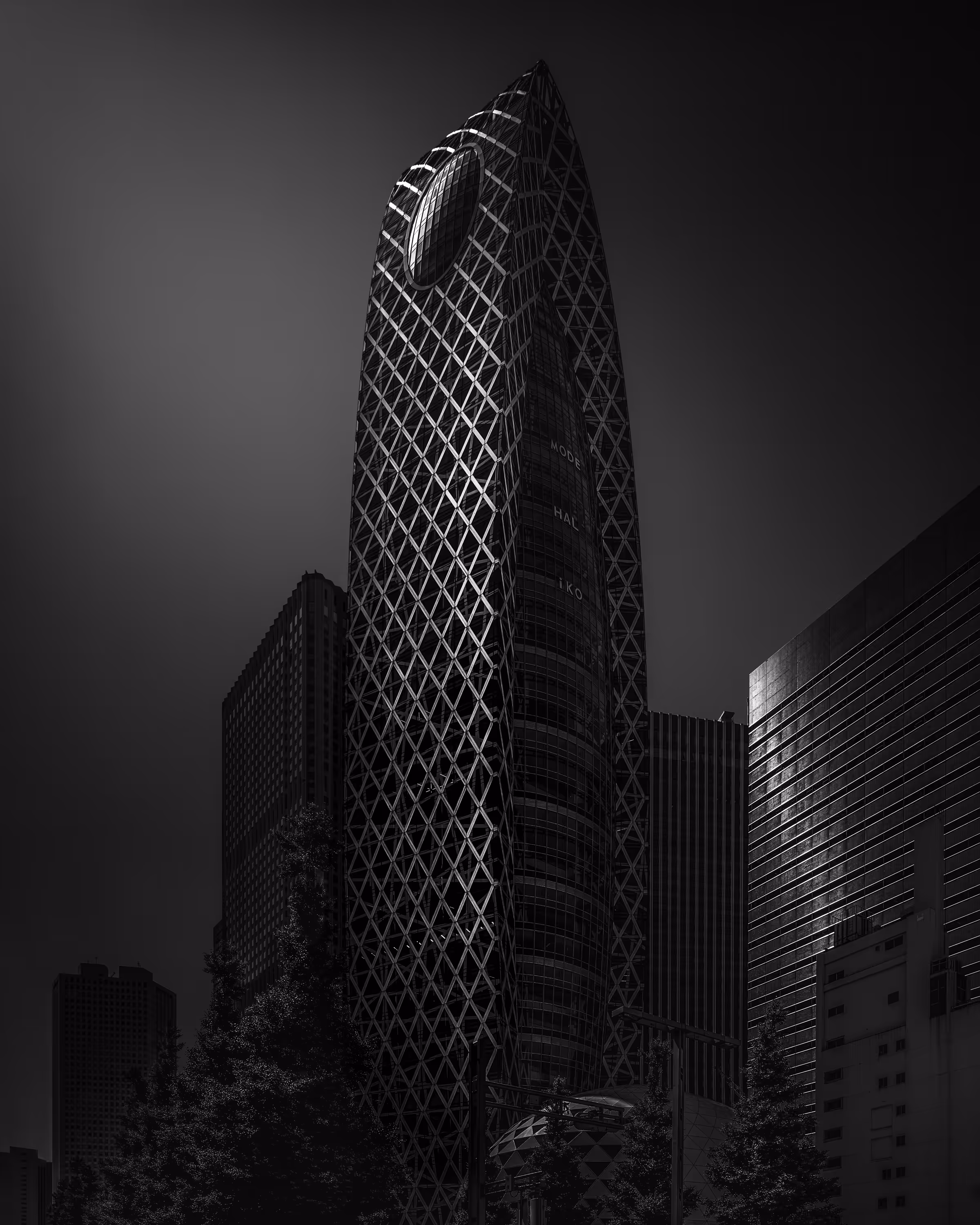 Duality of Light and Darkness 1
