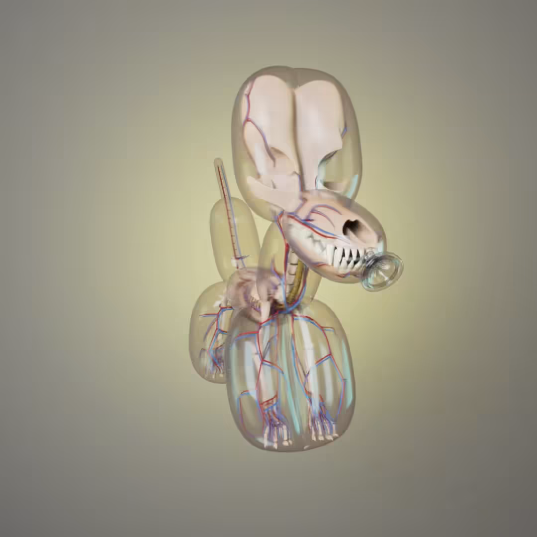 Balloon Dog Anatomy (Clear/Yellow Edition)