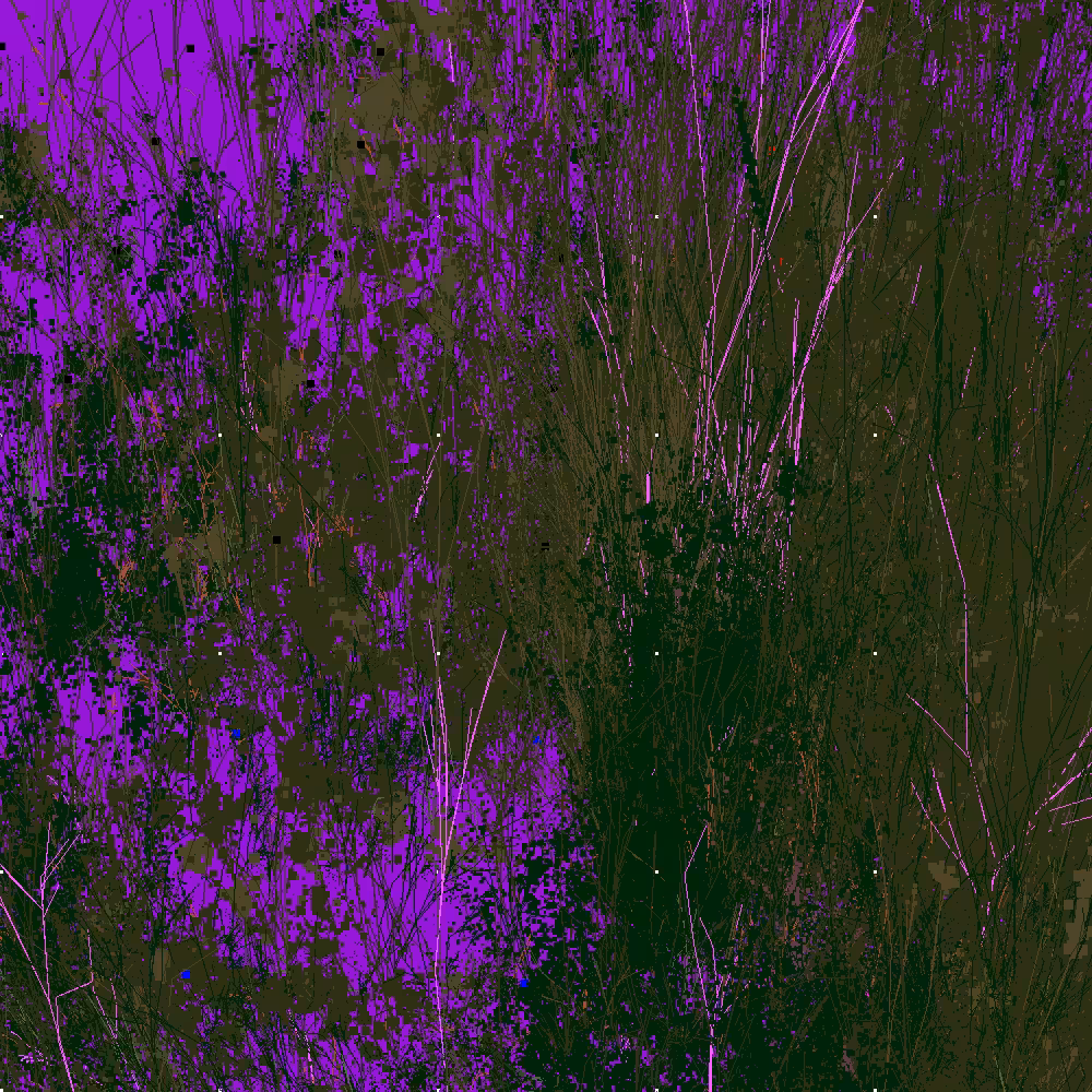 Infinite Garden: 55379 Flowers