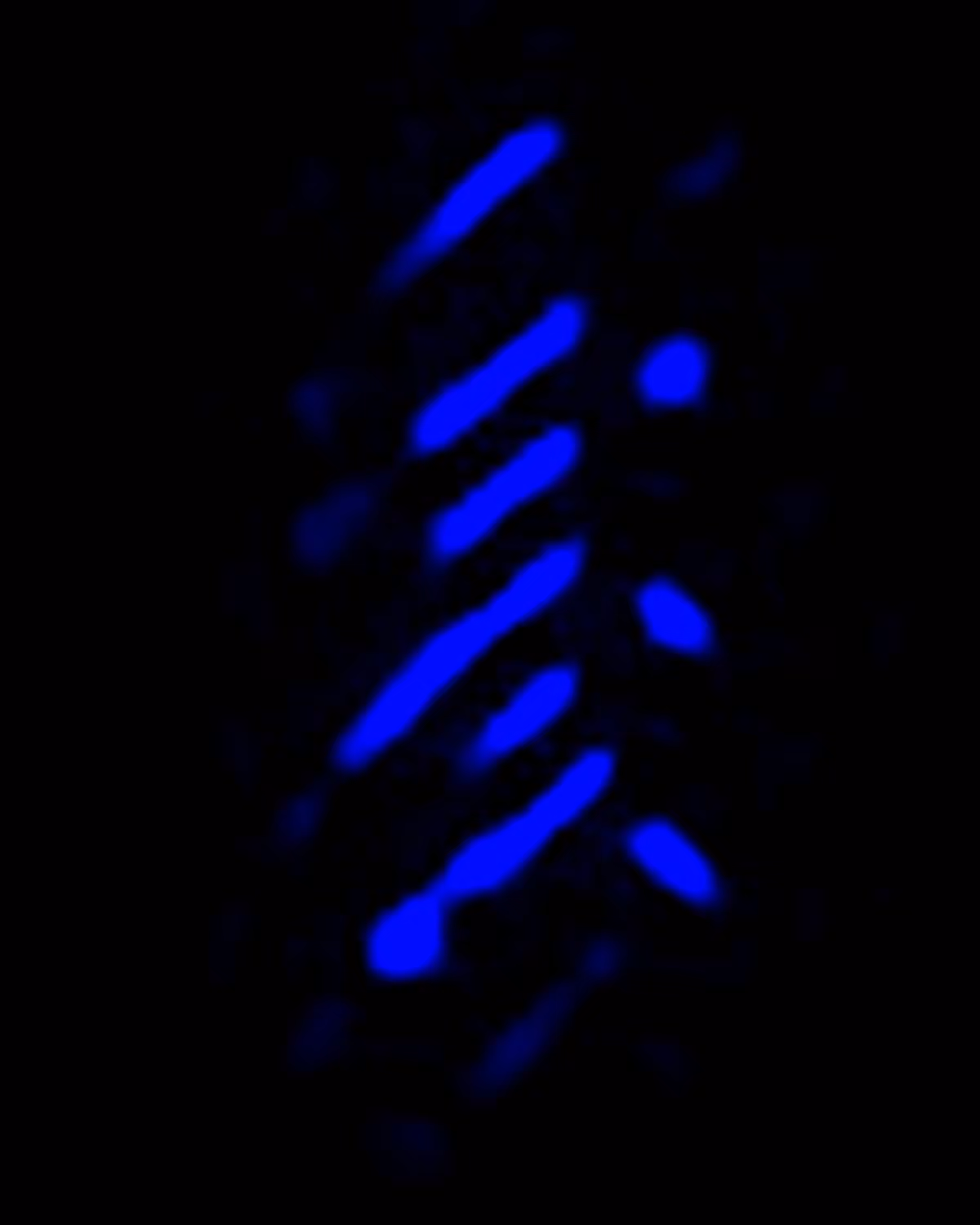 Fingerprint #54