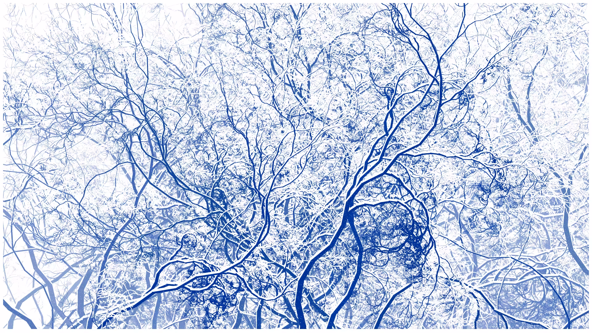 SCHNEEWALD #14