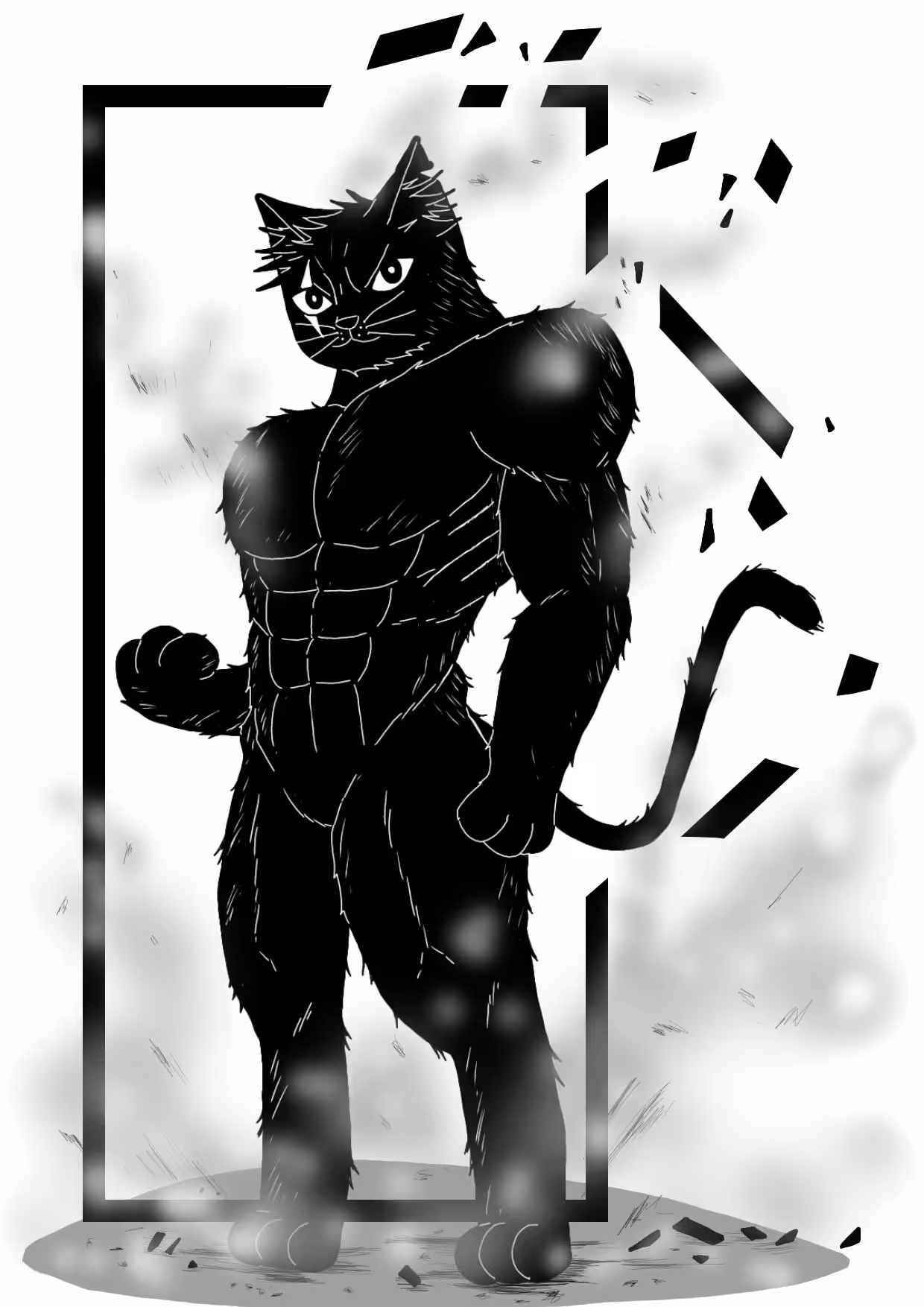 black cat