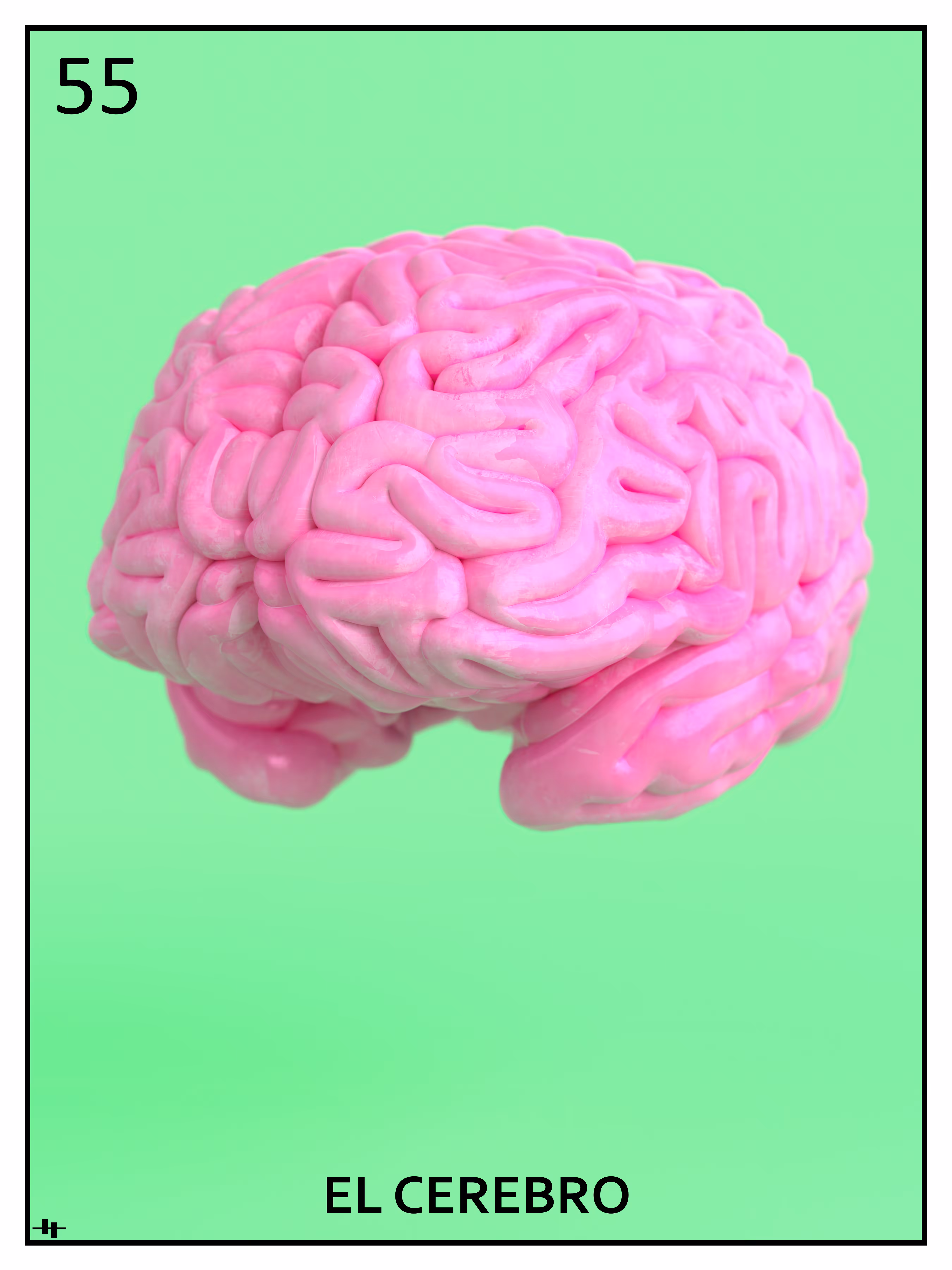 #55 El Cerebro