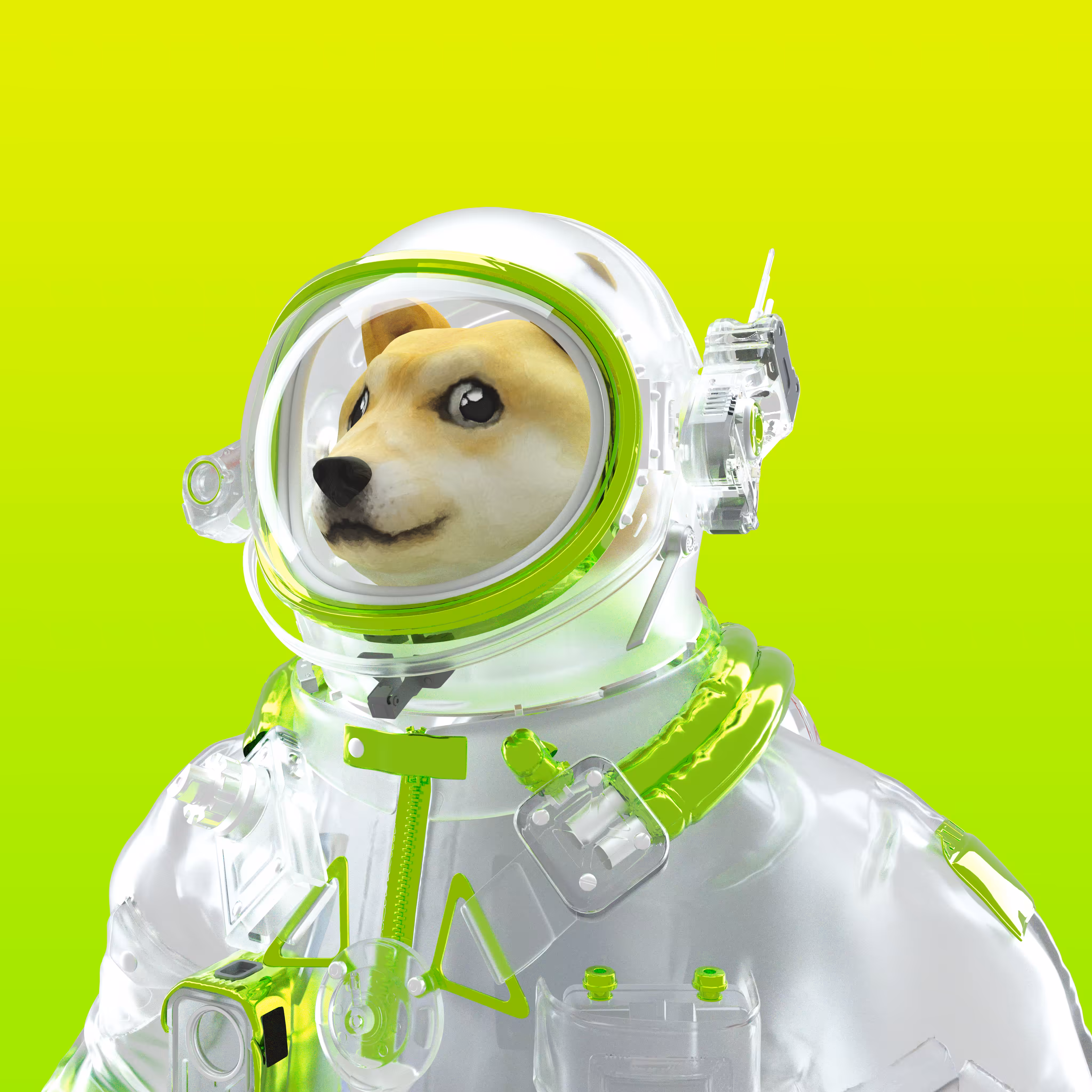 Dogestronaut 001