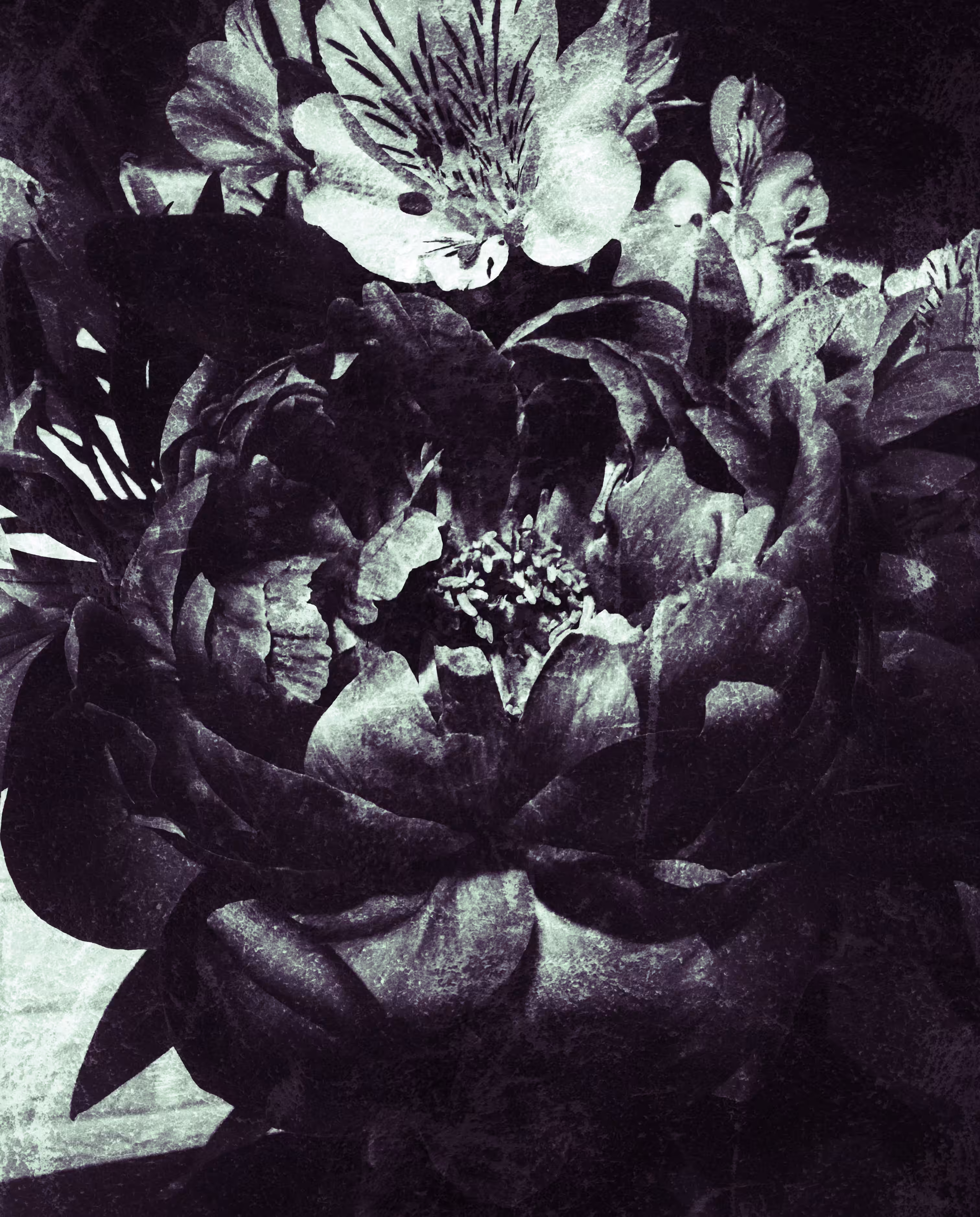 A piece of Dark Love